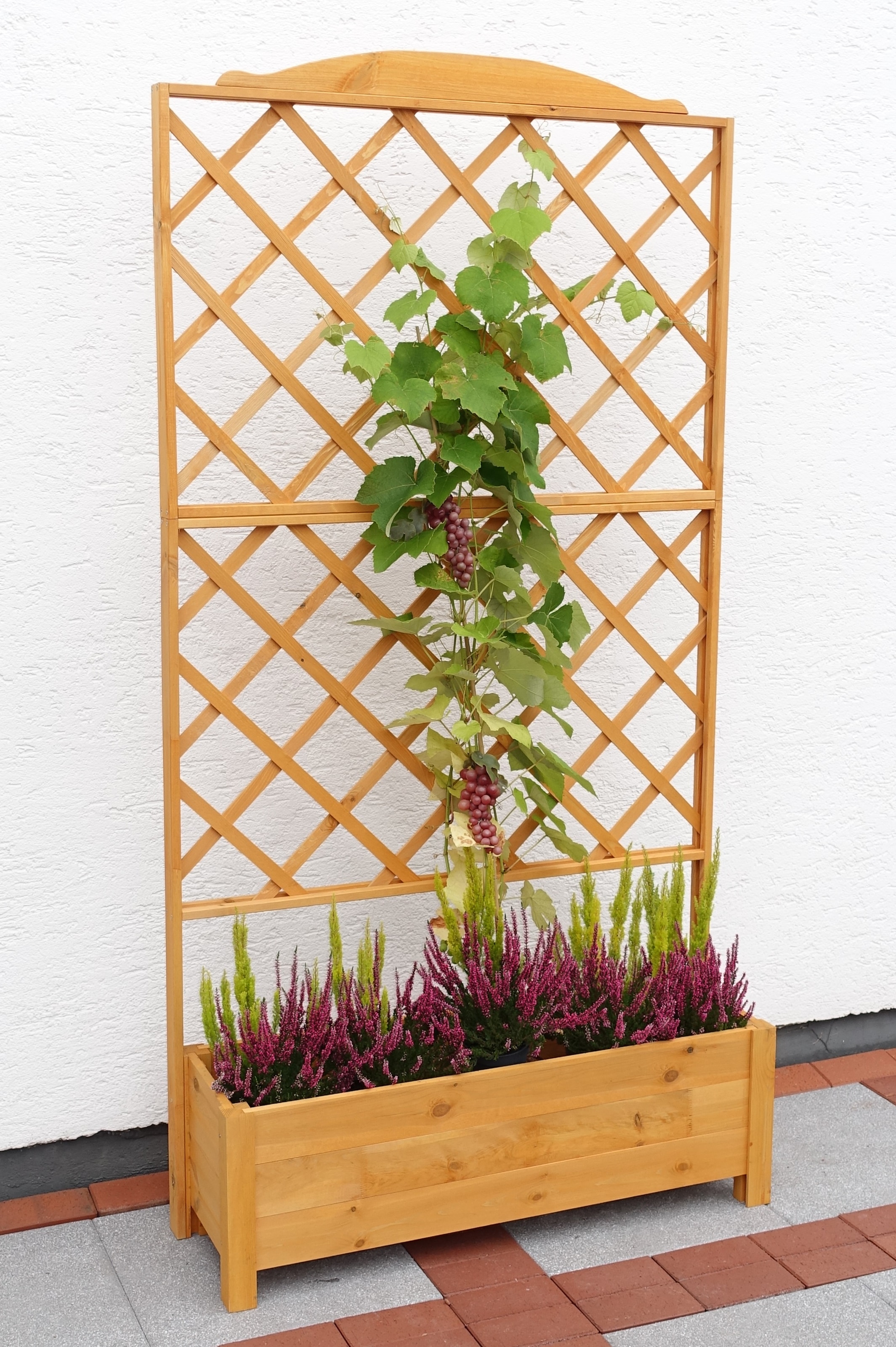 promadino Spalier, mit Pflanzkasten, BxTxH: 110x32x210 cm