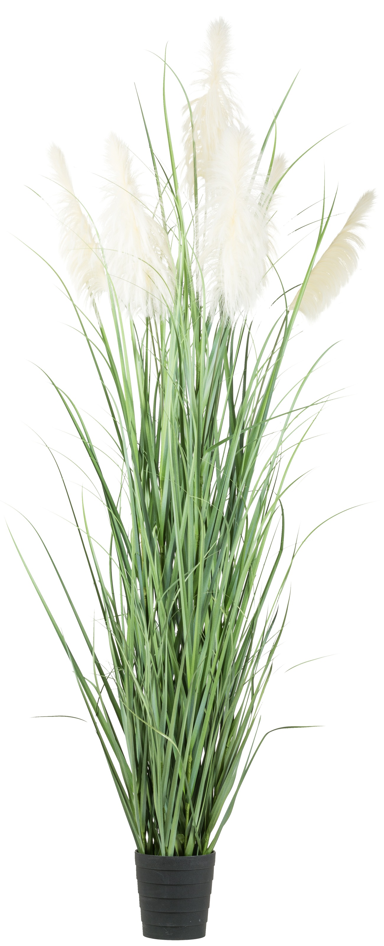 Creativ green Kunstgras »Pampasgras«, mit fünf Pampasgrasblüten günstig online kaufen