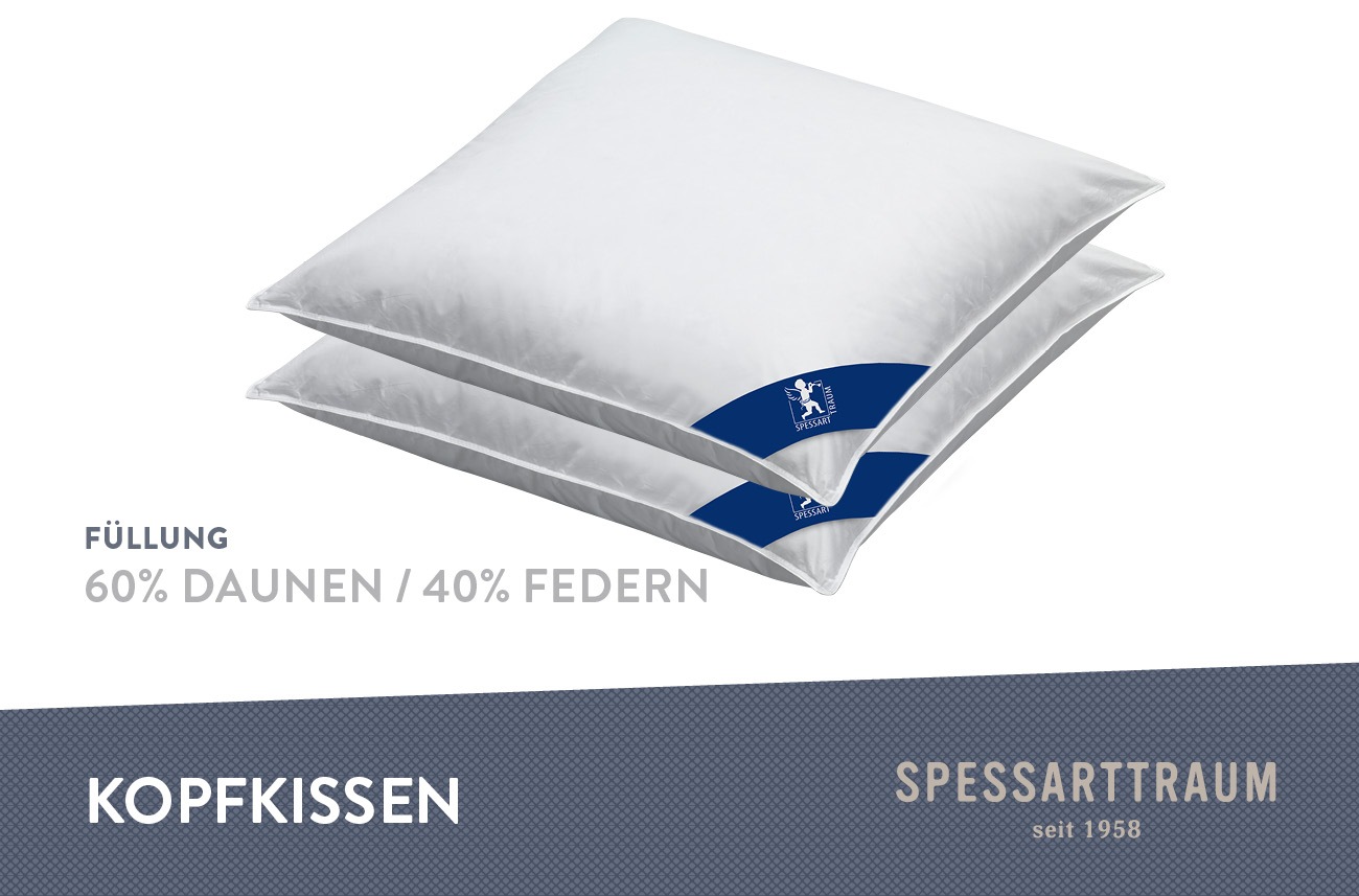 SPESSARTTRAUM Daunenkissen »FIRST CLASS«, Füllung: 60% Daunen, 40%Federn, B günstig online kaufen