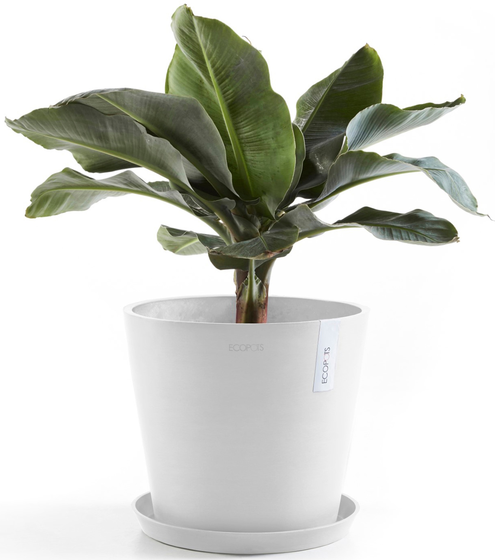 ECOPOTS Blumentopf »Amsterdam 30 Weiß«, für innen und außen: frostsicher, bruchsicher und lichtbeständig
