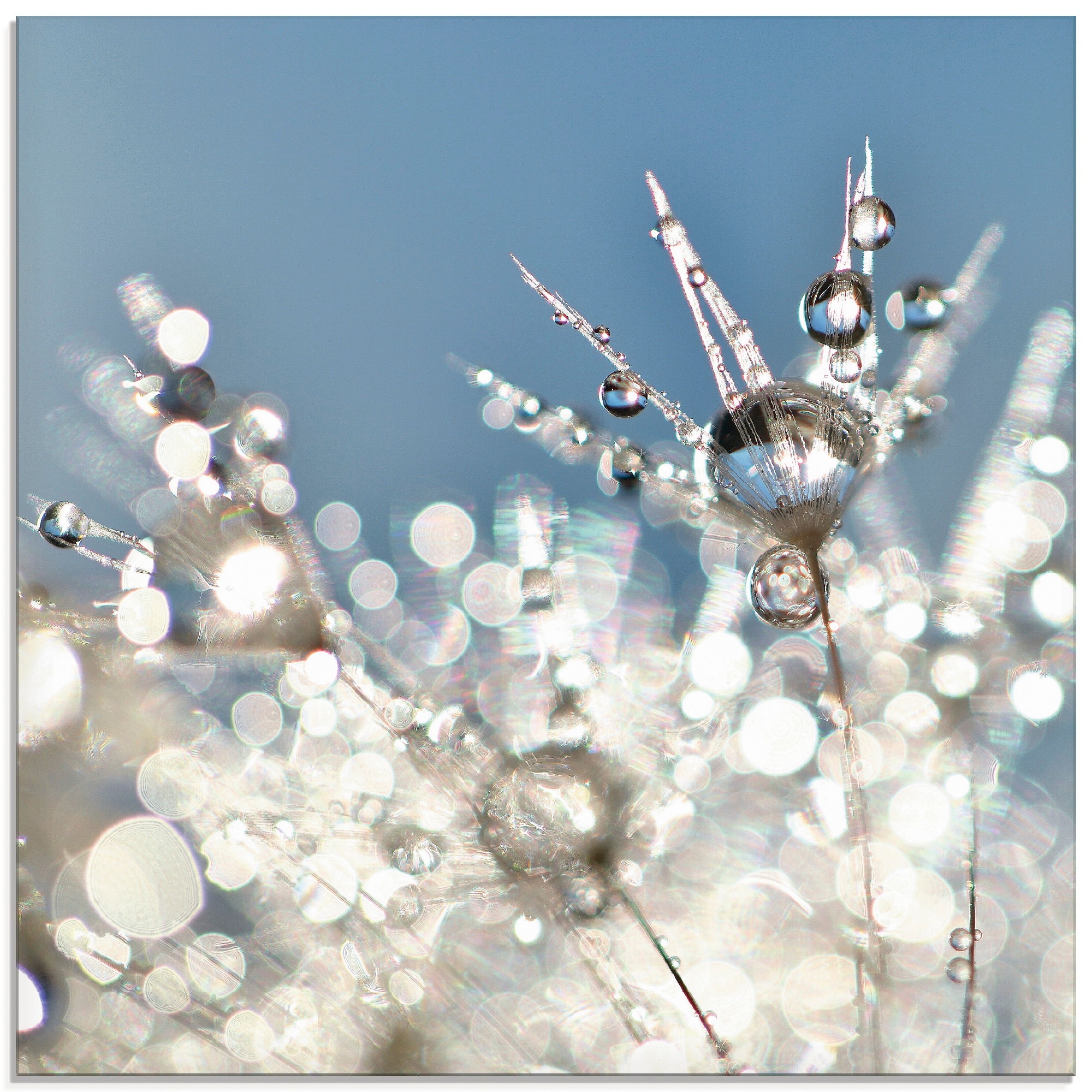 Artland Glasbild »Pusteblume Tropfen abstrakt«, Blumen, (1 St.), in verschi günstig online kaufen