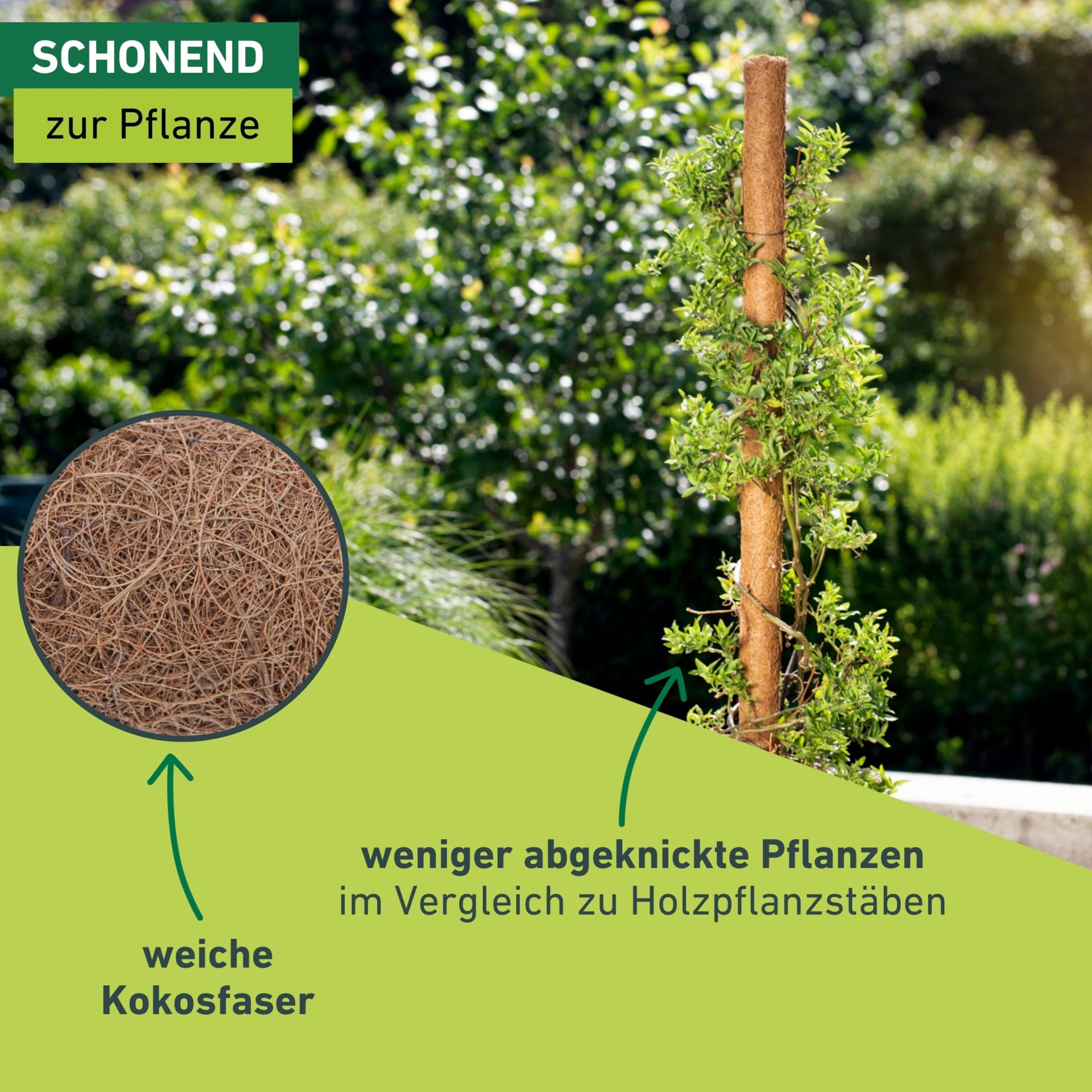 Windhager Rankhilfe »aus Kokos, Pflanzstäbe verlängerbar, Ø 4,5 cm, Rankstab« für hochwachsende Zimmerpflanzen, erhältlich in 60, 80 oder 110 cm