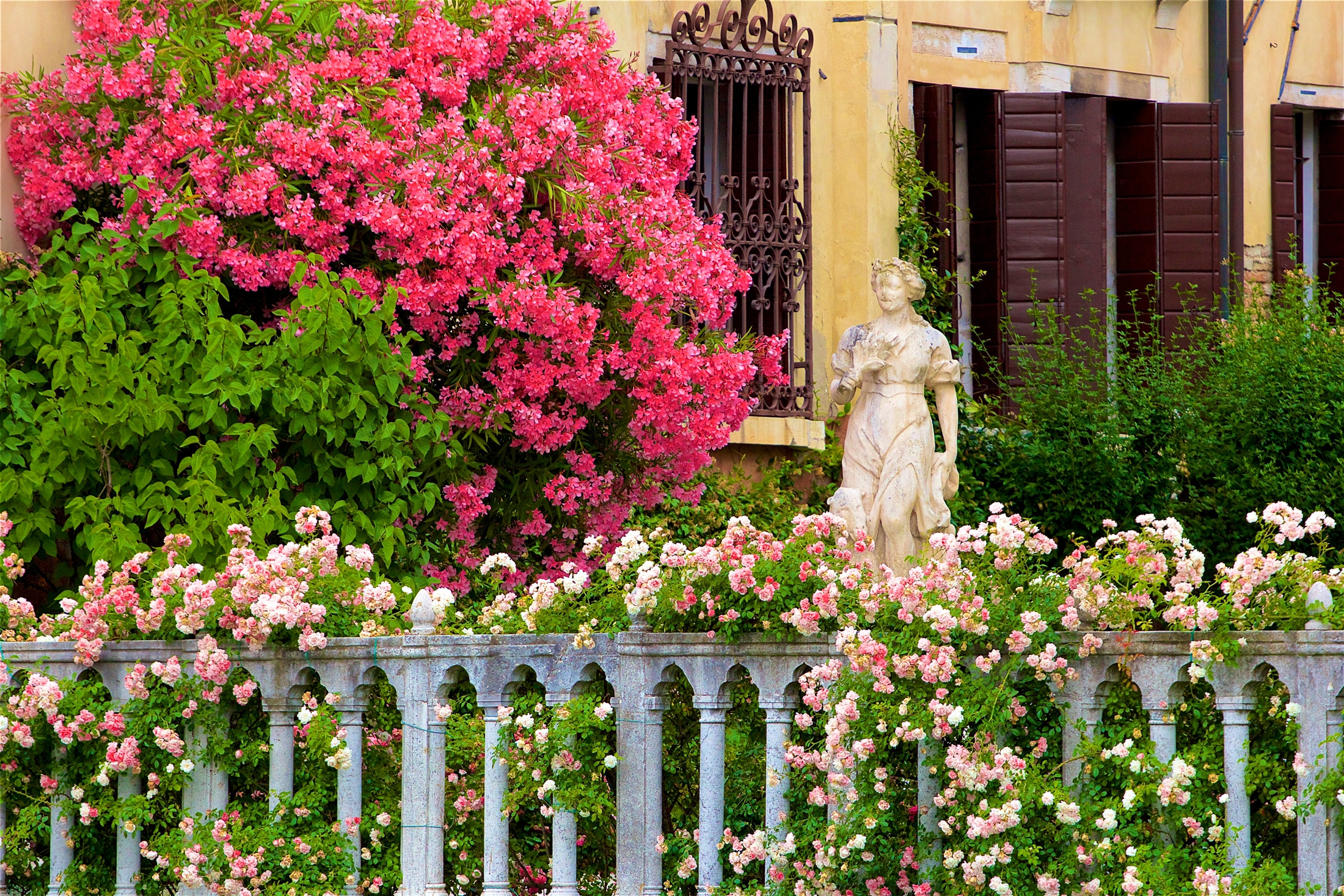 Papermoon Fototapete »GARTEN-BLUMEN BÄUME PFLANZEN STEINE WALD PERGOLA BLÜT günstig online kaufen