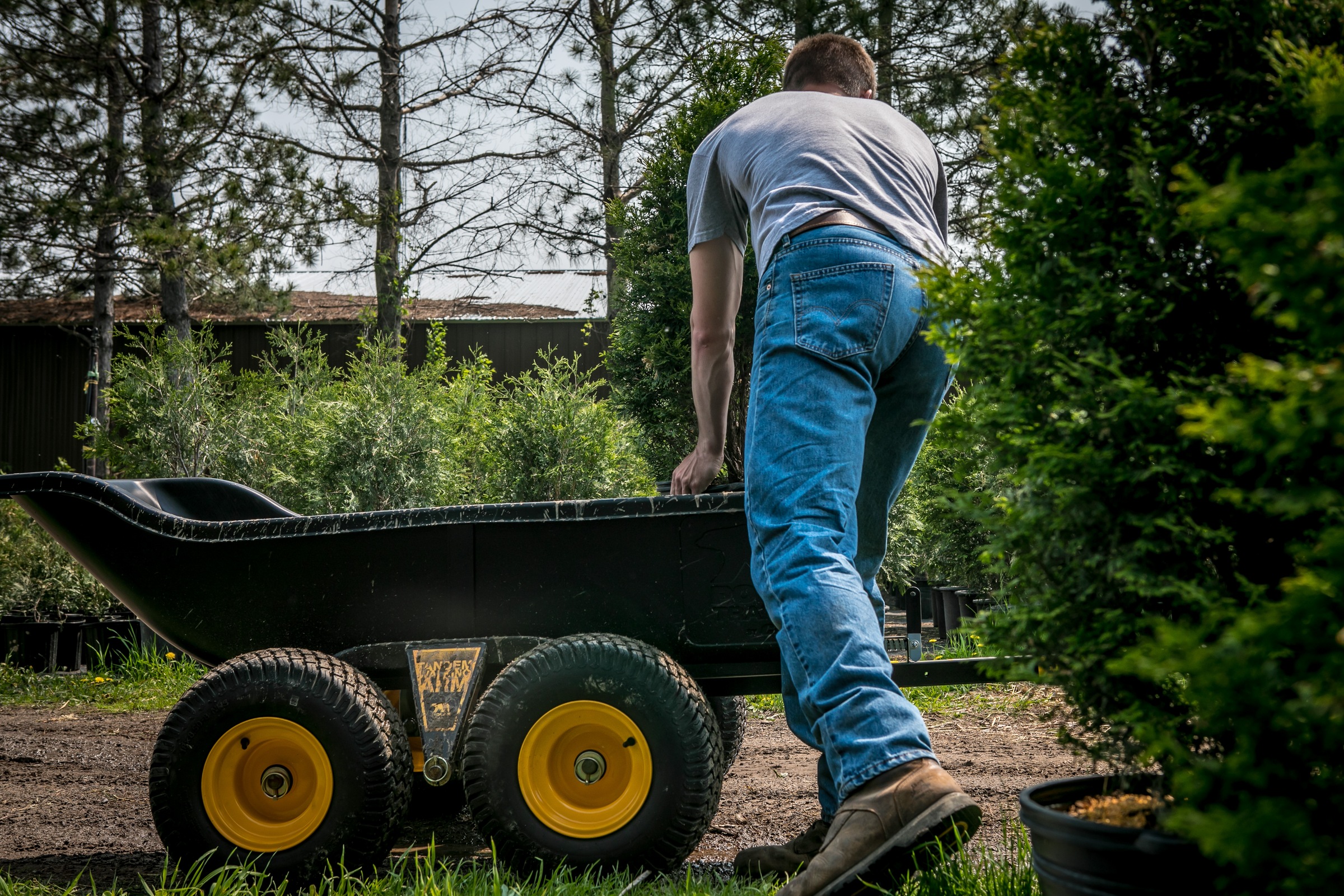 50NRTH Anhänger »Polar TA1500« BxLxH: 137x249x79 cm, 623 L