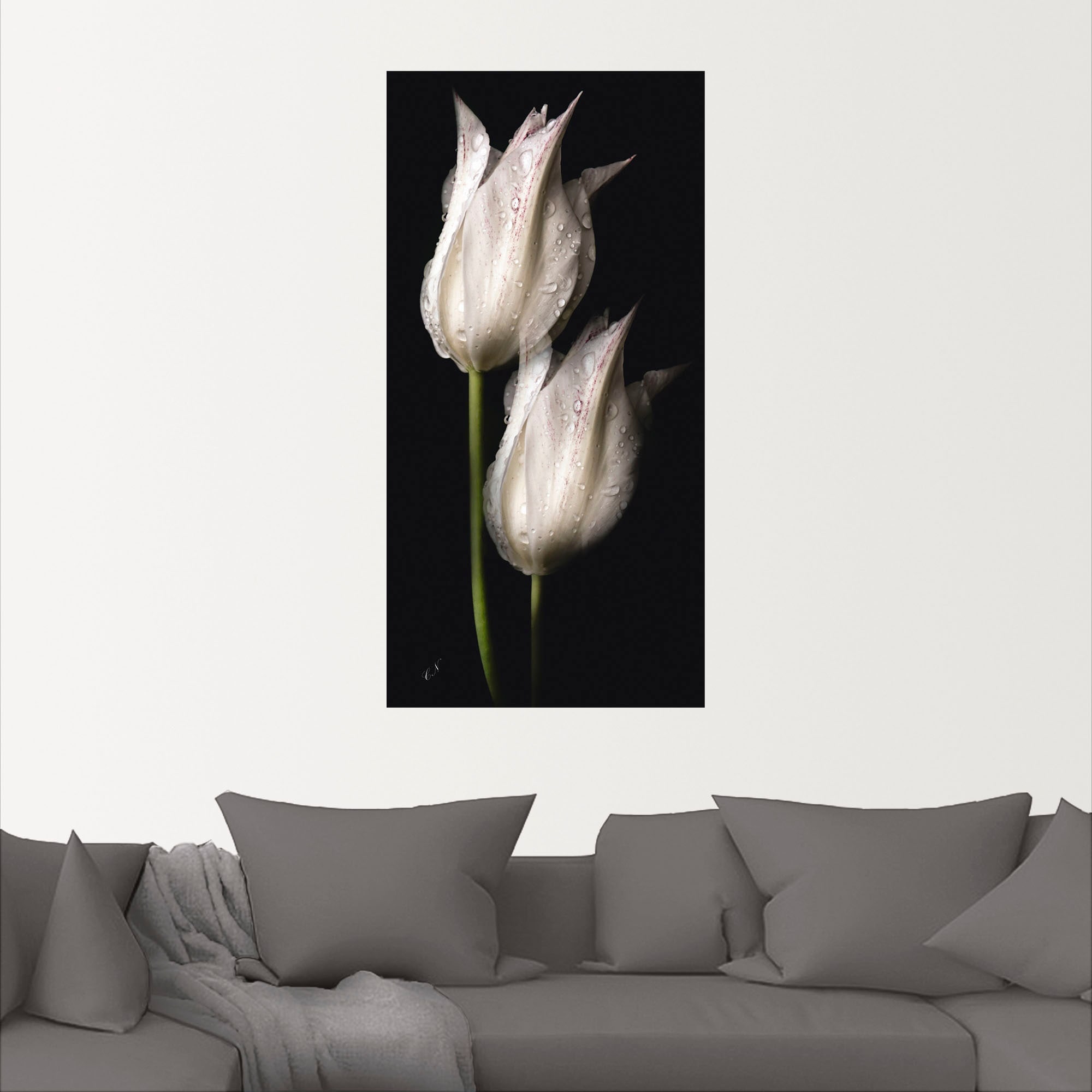 Artland Wandbild »Weiße Tulpen in der Nacht«, Blumenbilder, (1 St.), als Alubild, Outdoorbild, Leinwandbild, Poster, Wandaufkleber