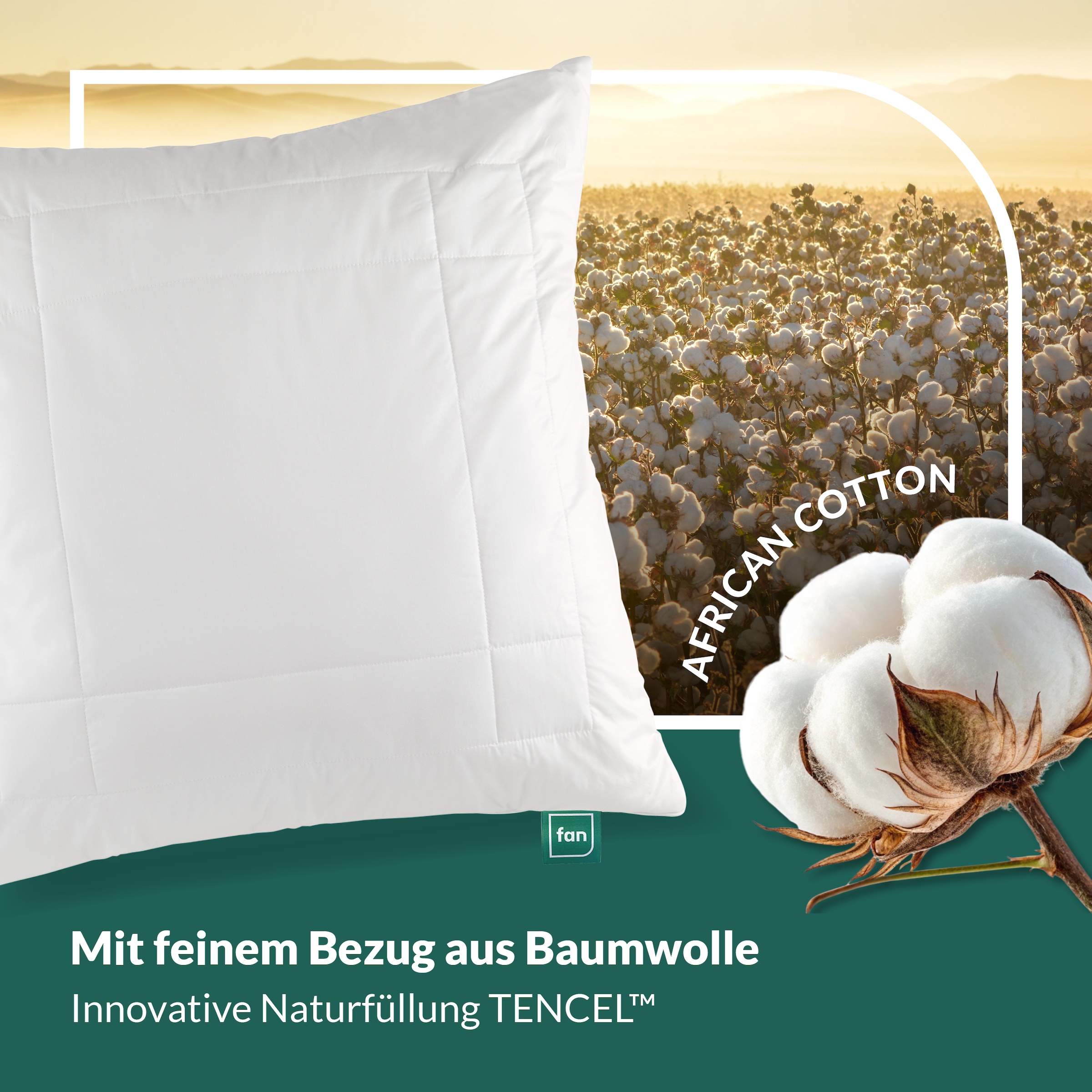 fan Kopfkissen »African Cotton, 40x80 & 80x80 cm« Füllung: 60% Polyester / 40% Lyocell (Tencel) 1 Stk. tlg. Kopfkissen mit hochwertigem Baumwollbezug (KBA), Made in Germany
