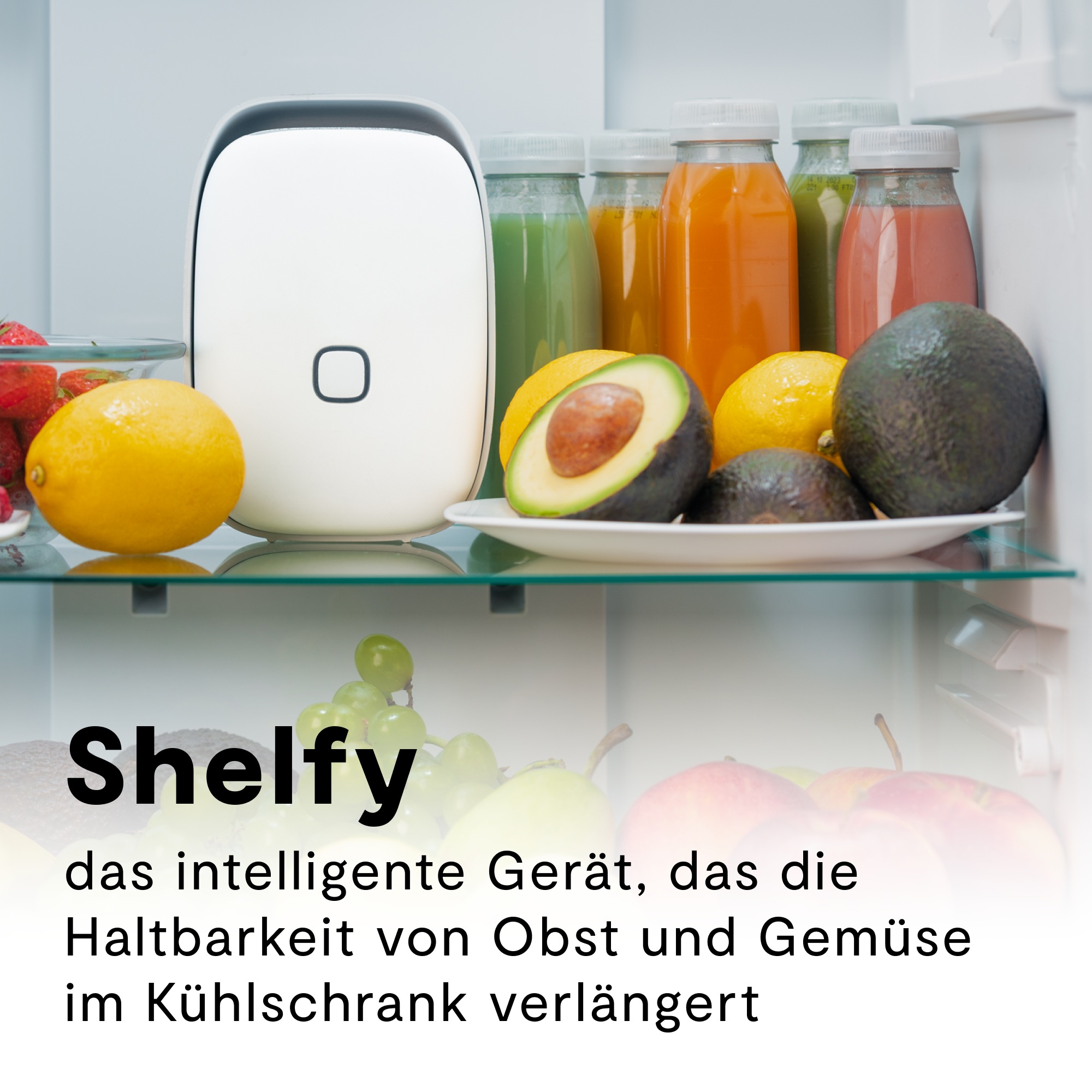 Vitesy Luftreiniger »Shelfy – Smarte Frischeverlängerung für deinen Kühlschrank«, reduzierte Bakterien, verlängert Haltbarkeit, gegen Schimmel