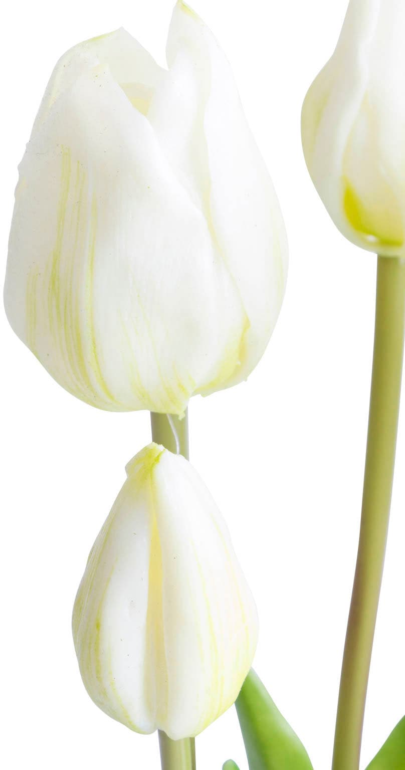 kaufen online Botanic-Haus Kunstblume »Tulpenbündel«
