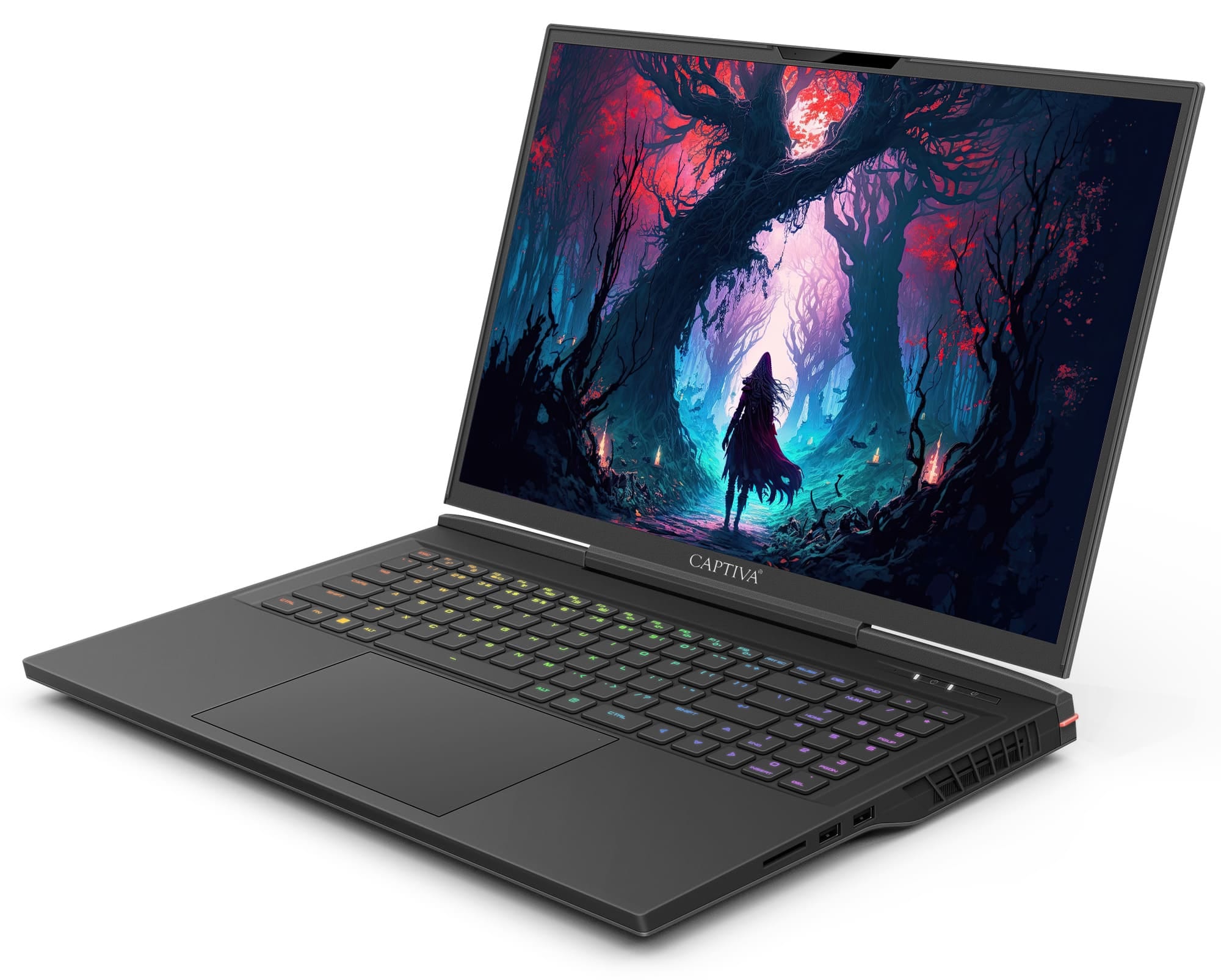 CAPTIVA Gaming-Notebook »Highend Gaming I81-504«, Intel, Core i9, 1000 GB SSD