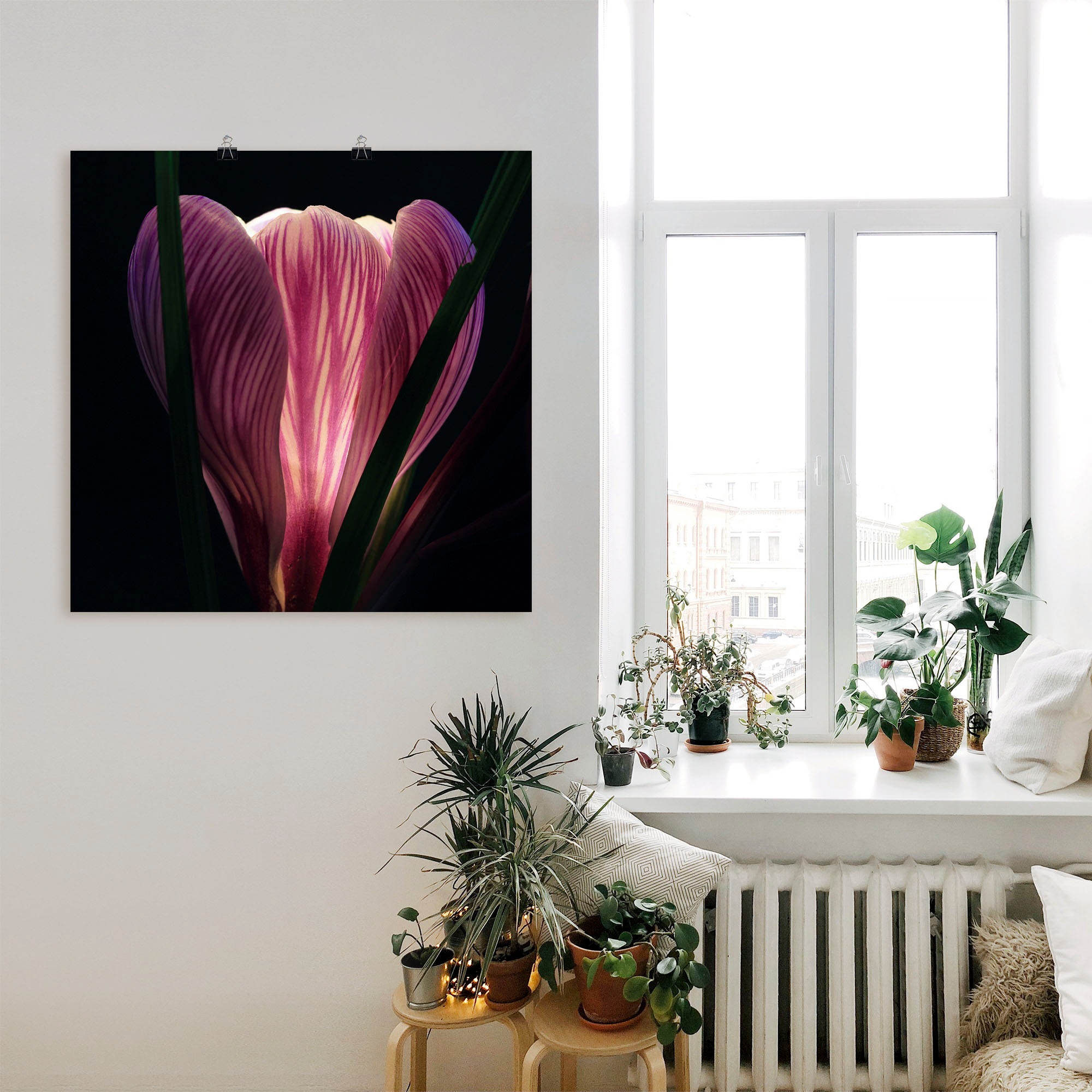 Artland Wandbild »Beleuchtet«, Blumen, (1 St.), als Leinwandbild, Wandaufkleber oder Poster in versch. Größen