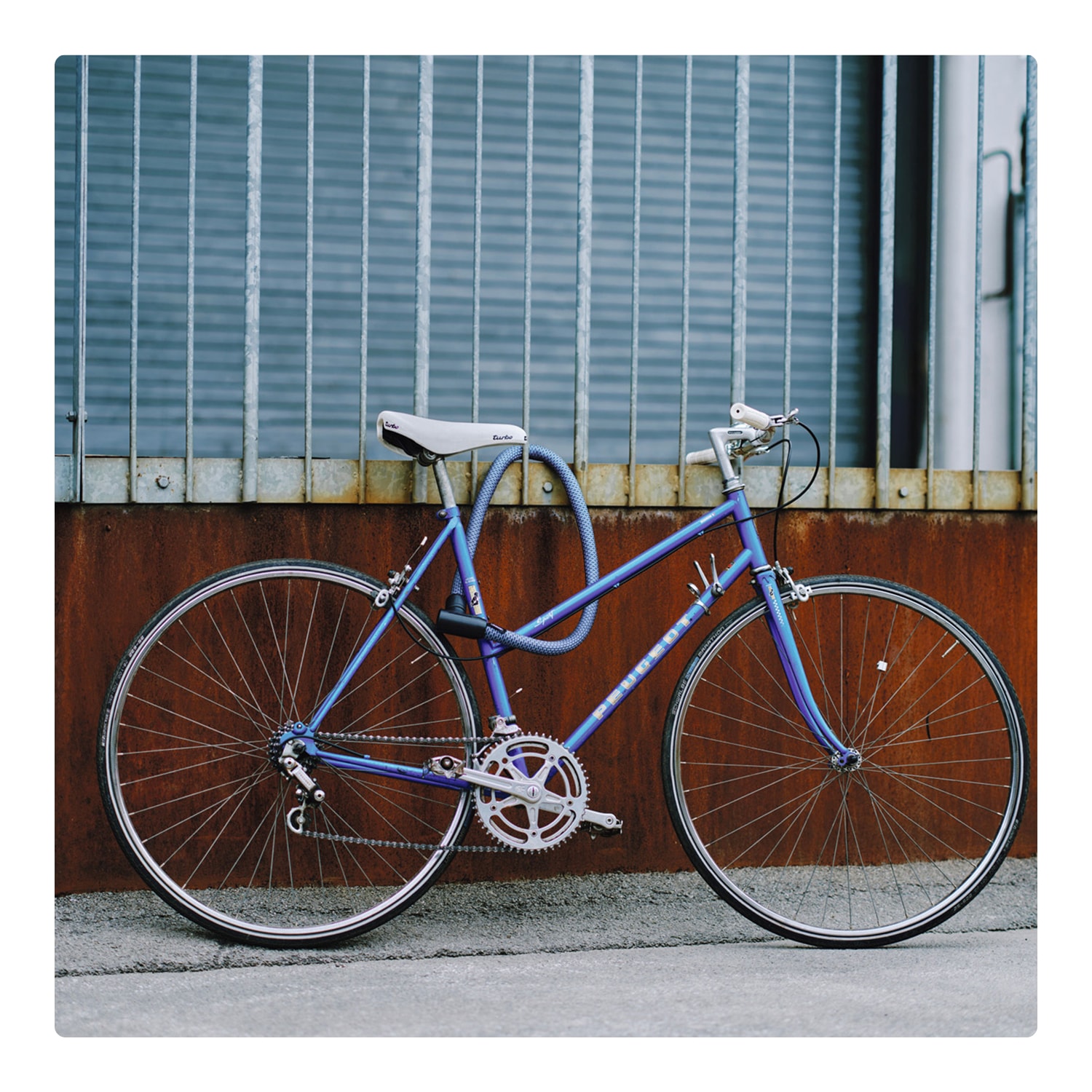 ABUS Kettenschloss »Yarnit 4004K«