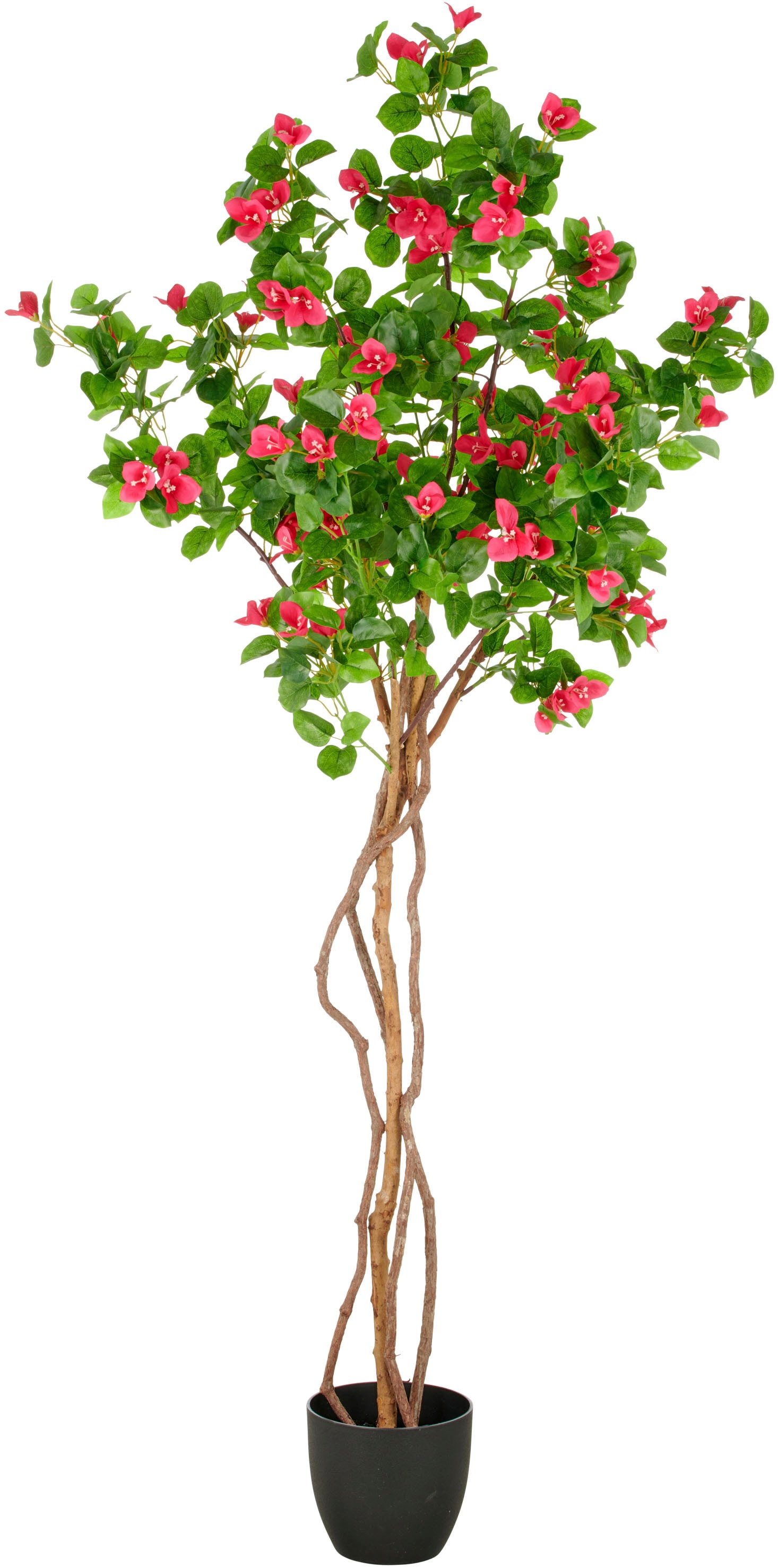 Creativ green Kunstbaum »Bougainvillea« mit schön geformtem Stamm günstig online kaufen