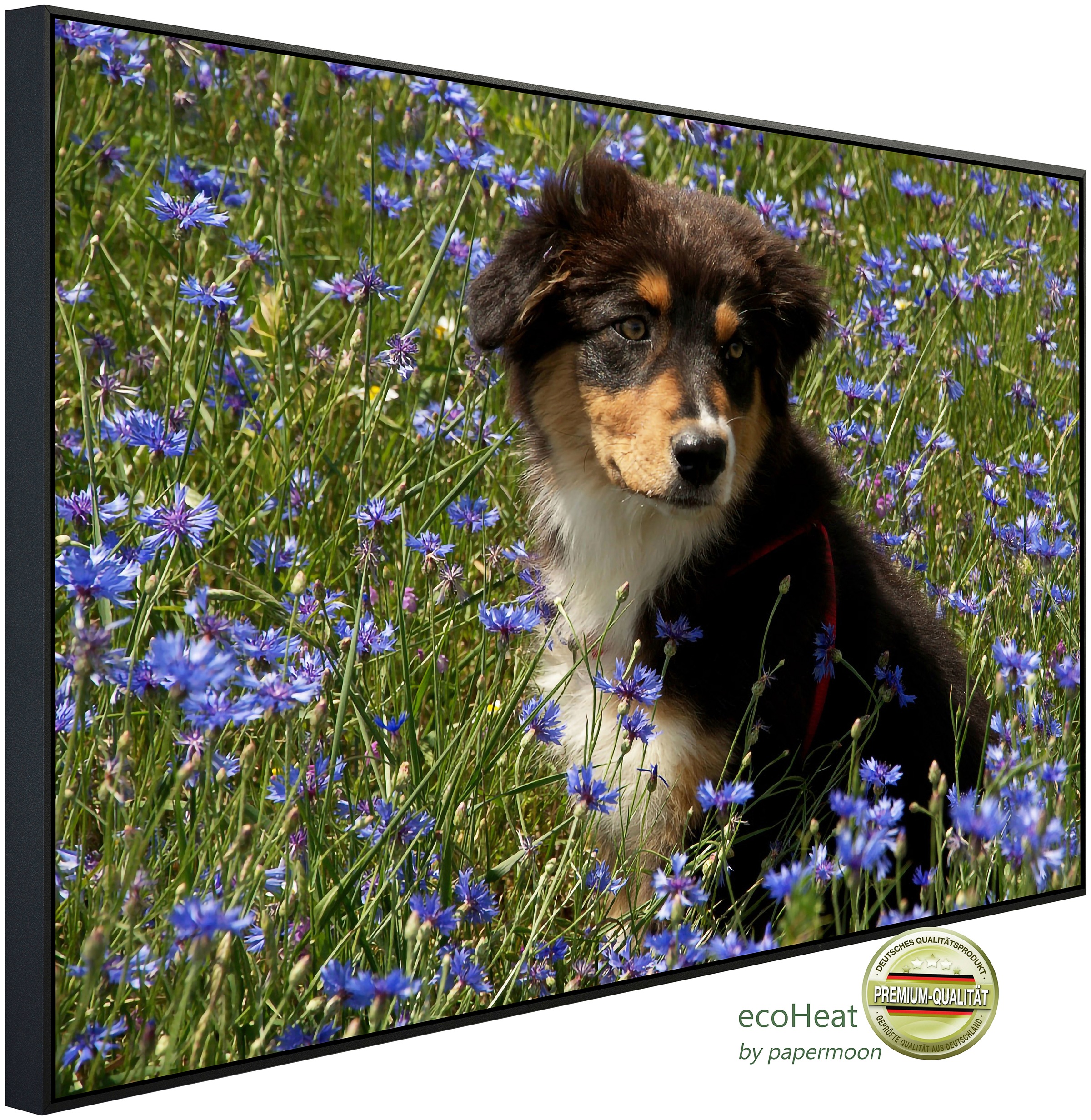 Papermoon Infrarotheizung »Hund in Blumenwiese«, sehr angenehme Strahlungsw günstig online kaufen