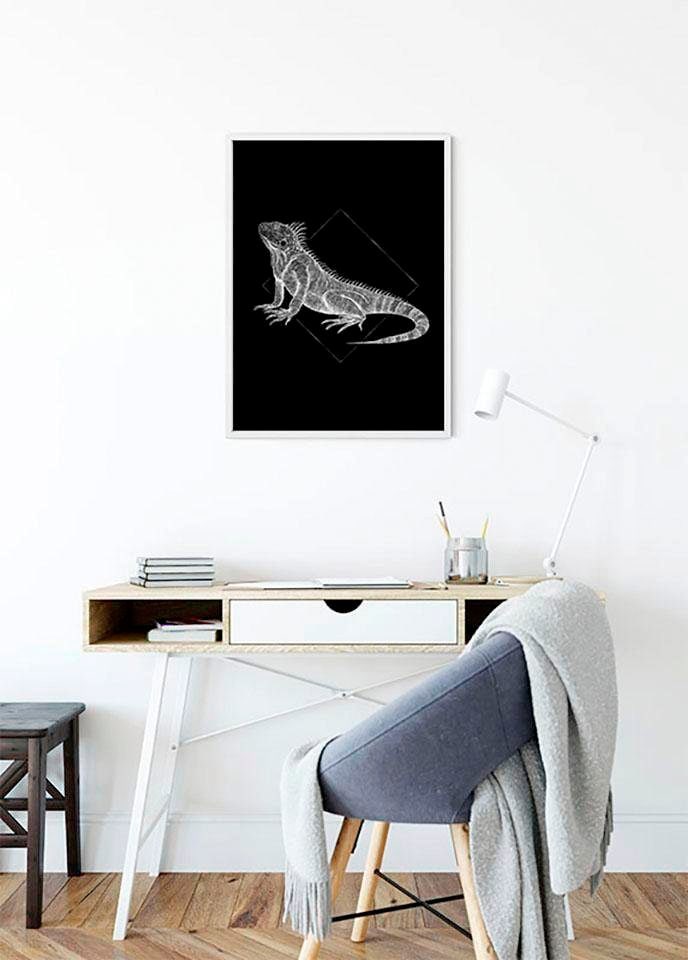 Komar Bild »Iguana Black«, Tiere, (1 St.), Wandbild zur Dekoration - ohne Rahmen