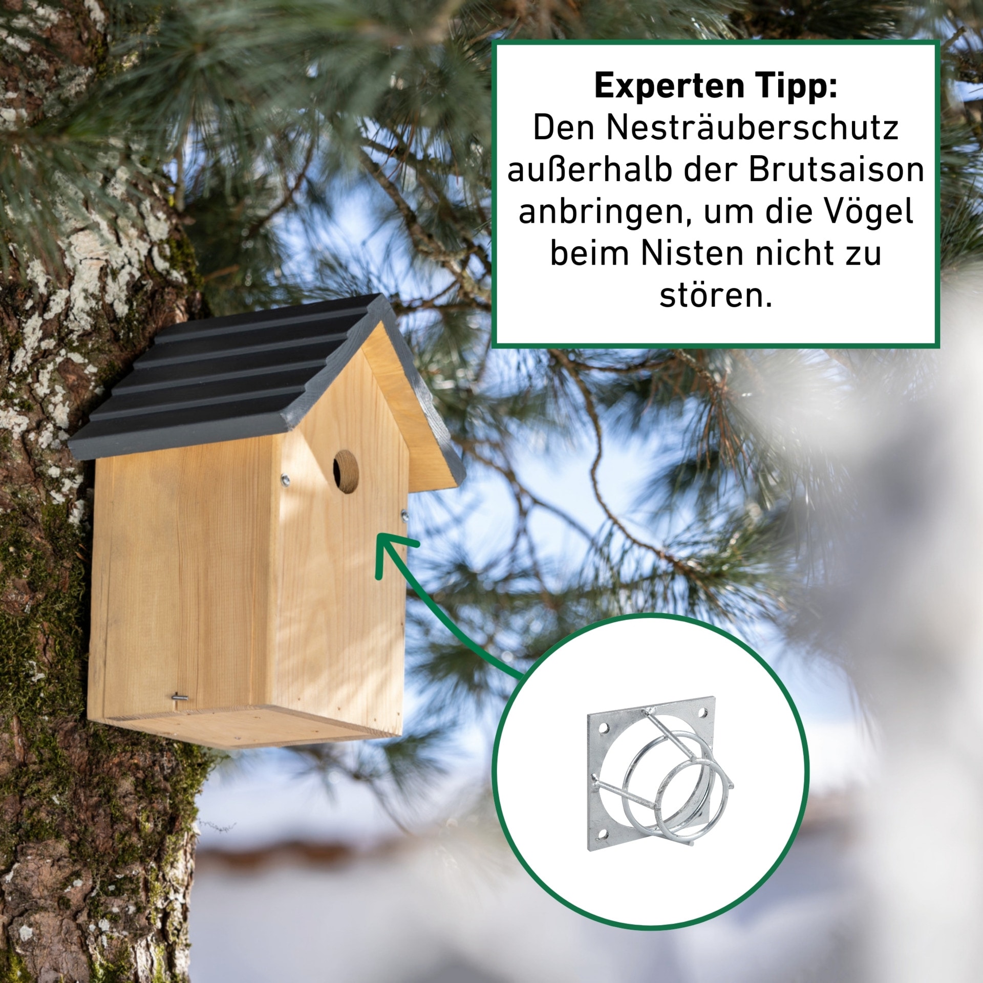Windhager Vogelhaus »Nistkästen Nesträuberschutz, für alle Vogel-Nistkasten geeignet« aus verzinktem Metall, Einflugloch 35mm, 7x4 cm, Silber
