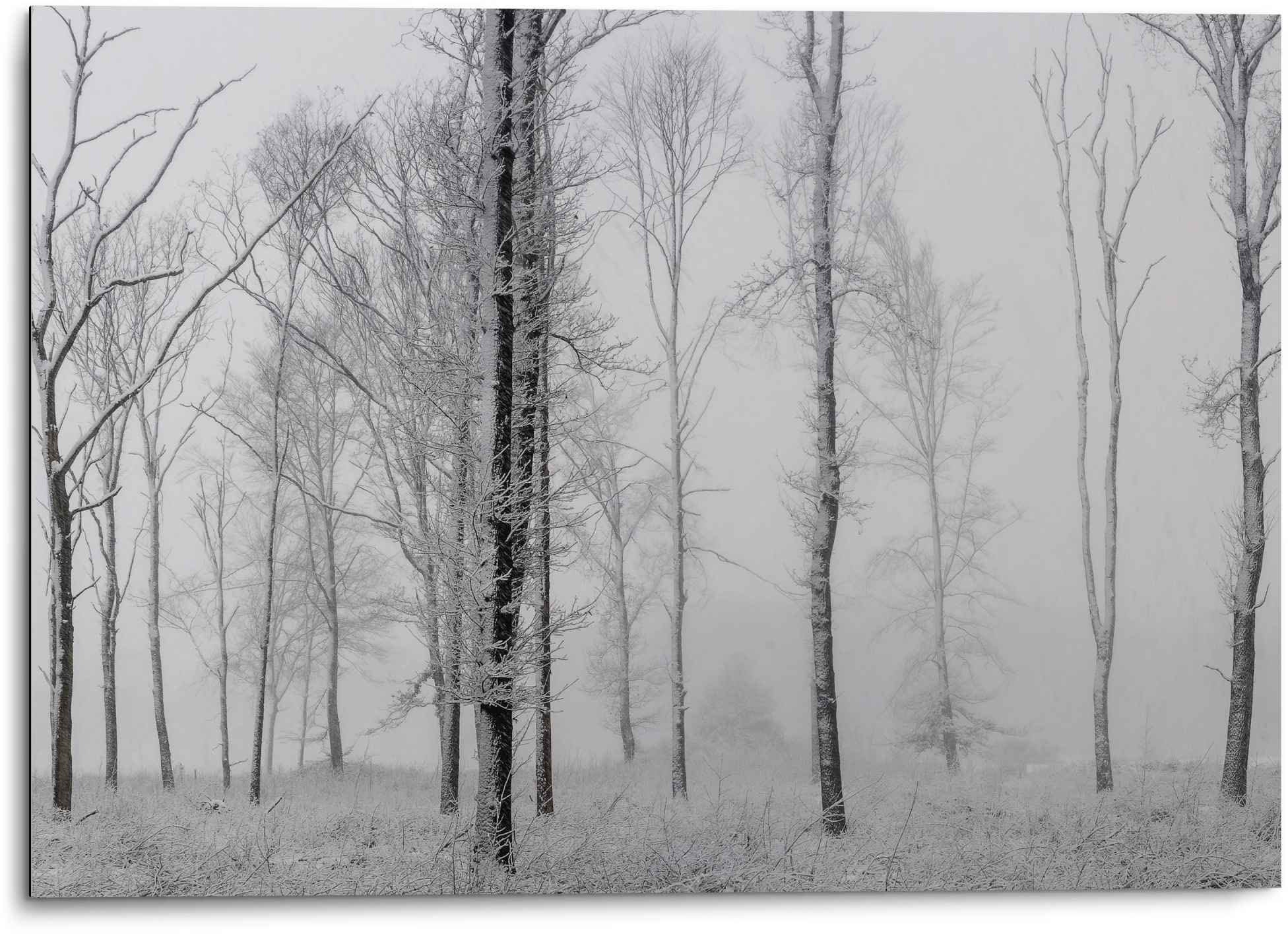 Reinders! Wandbild »Aluminium Wandbild Still Natur - Schwarz-Weiss - Wald - günstig online kaufen