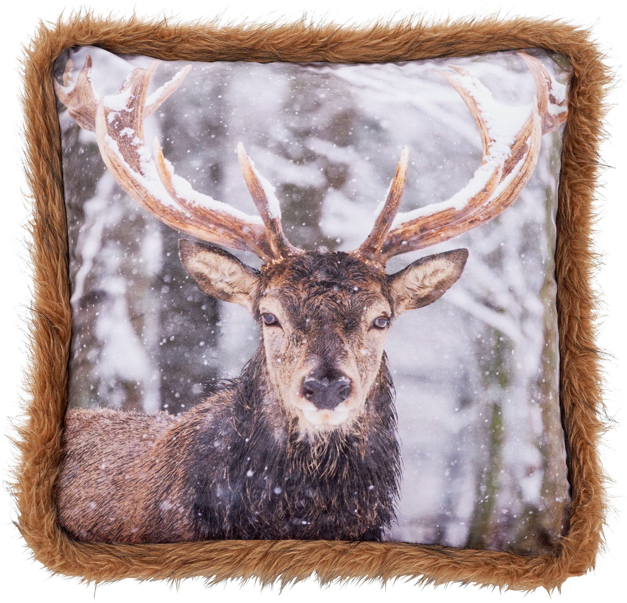 done.® Dekokissen »Deer«, Bedrucktes Kissen in feinem Samtstoff günstig online kaufen