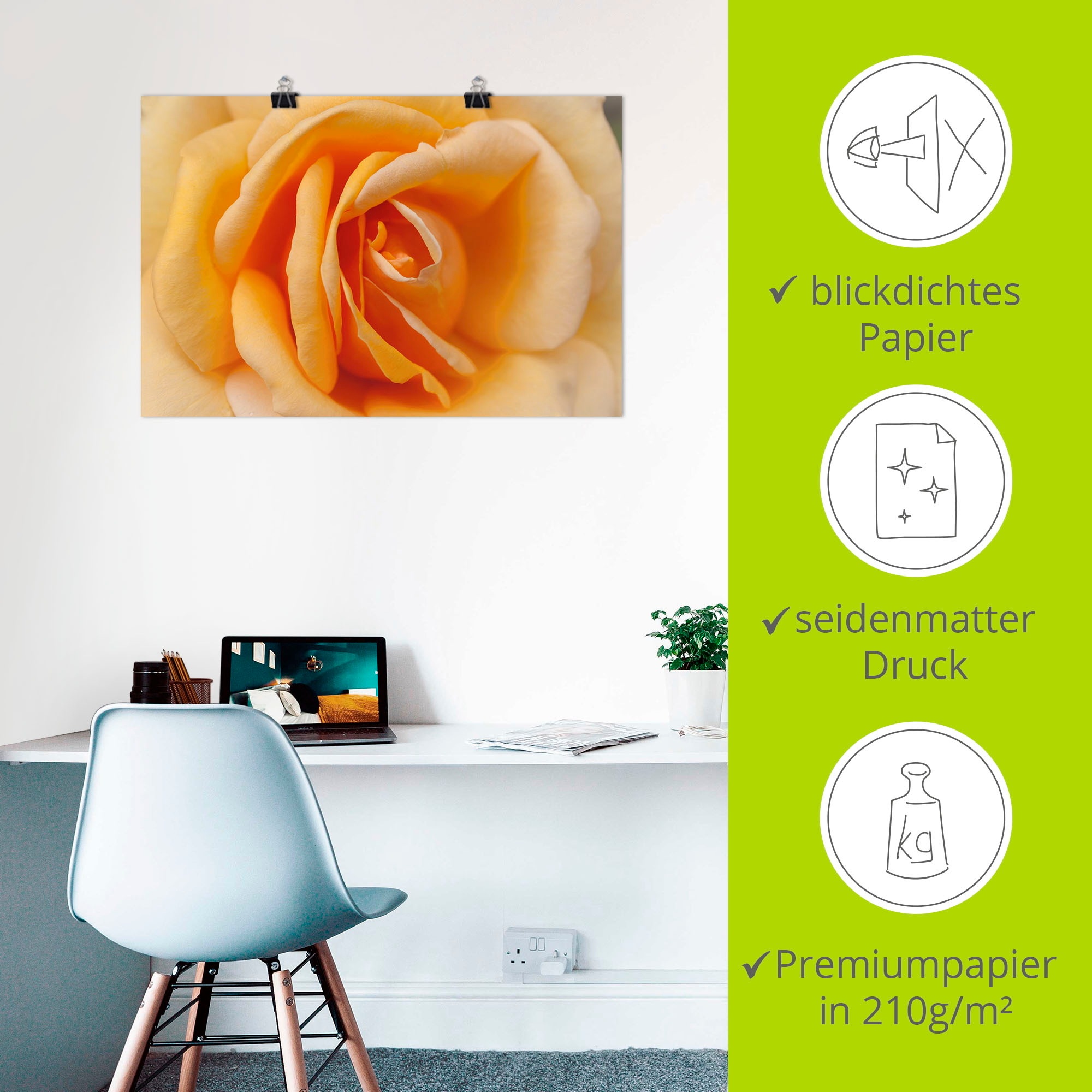 Artland Wandbild »Zarte Rose in Orange«, Blumenbilder, (1 St.), als Leinwandbild, Poster in verschied. Größen