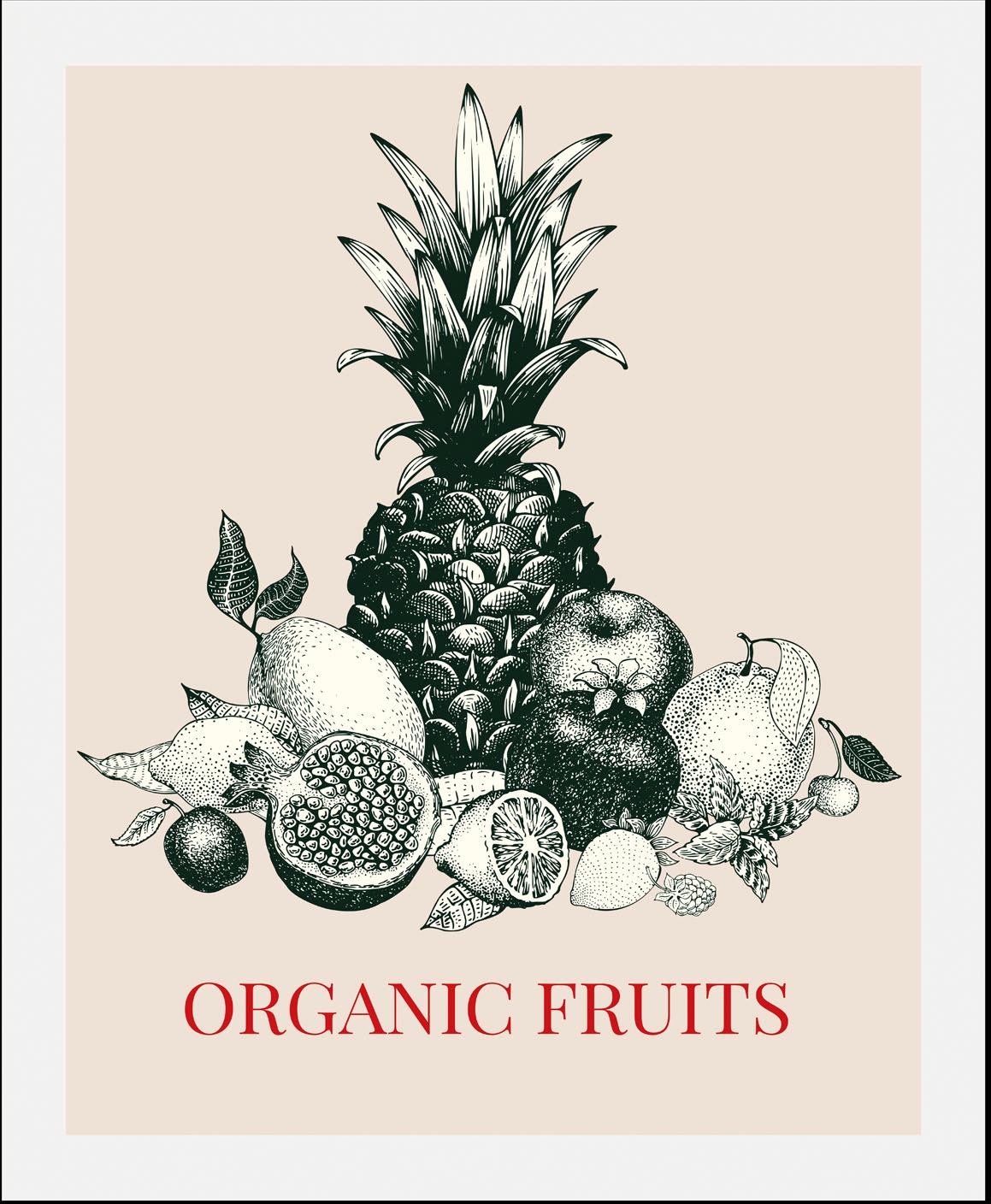 queence Bild »Organic Fruits« Kunst | Obst | Obst Bilder | Pflanzen | Pflanzenbilder | Schriftzug 1 Stk. tlg. gerahmt