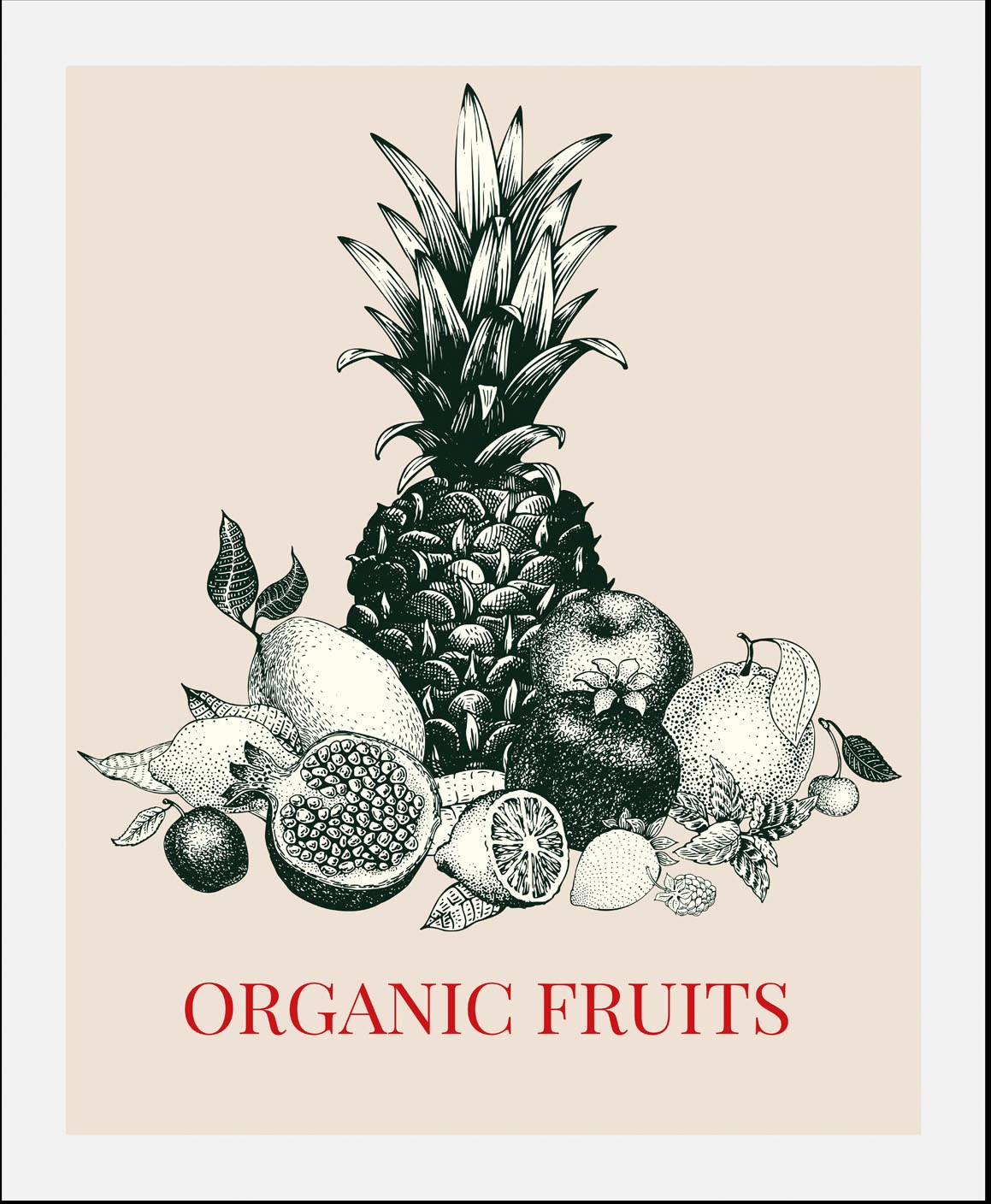 queence Bild »Organic Fruits«, Obst-Obst Bilder-Schriftzug-Kunst-Pflanzen-P günstig online kaufen
