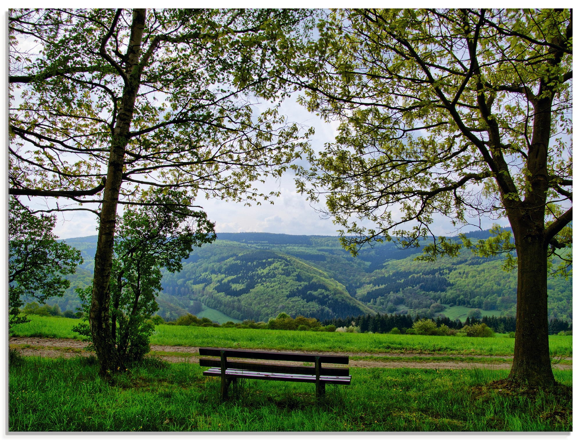 Artland Glasbild »Ausblick in den Frühling«, Felder, (1 St.), in verschiede günstig online kaufen