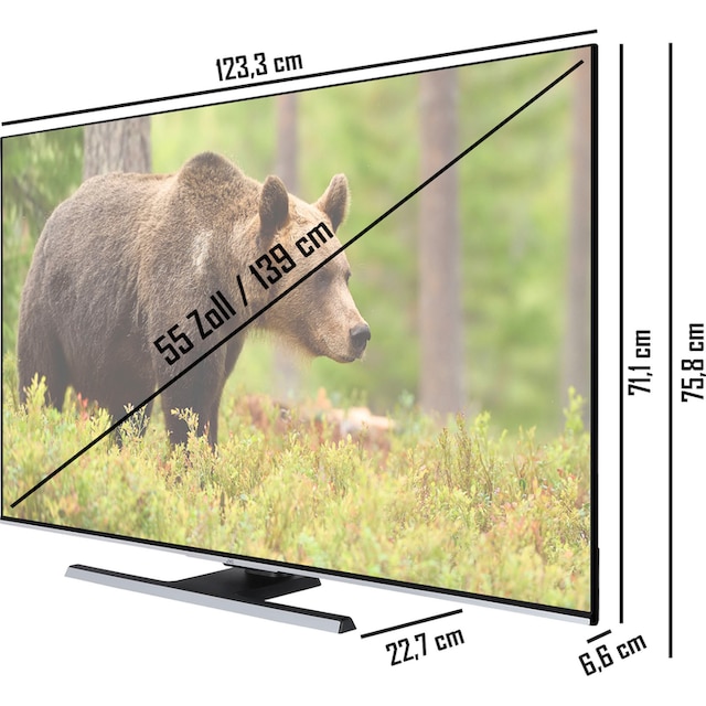 JVC LED-Fernseher »LT-55VU8155«, 139 cm/55 Zoll, 4K Ultra HD, Smart TV, HDR  Dolby Vision, Triple-Tuner, 6 Monate HD+ inklusive auf Raten bestellen