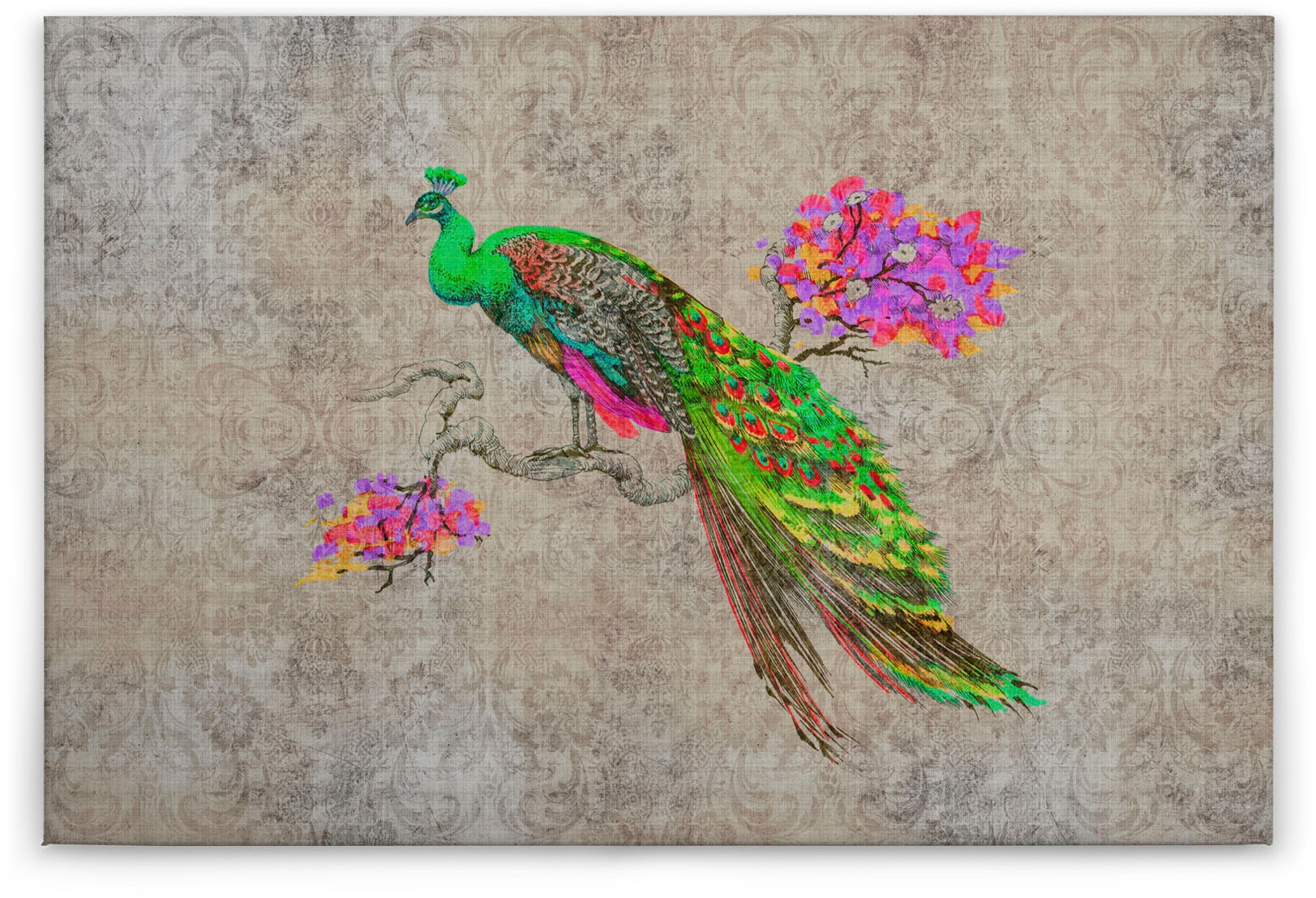 Bricoflor Pfau Bild Auf Leinwand Bunt Vogel Bild Im Vintage Stil Für Esszim günstig online kaufen