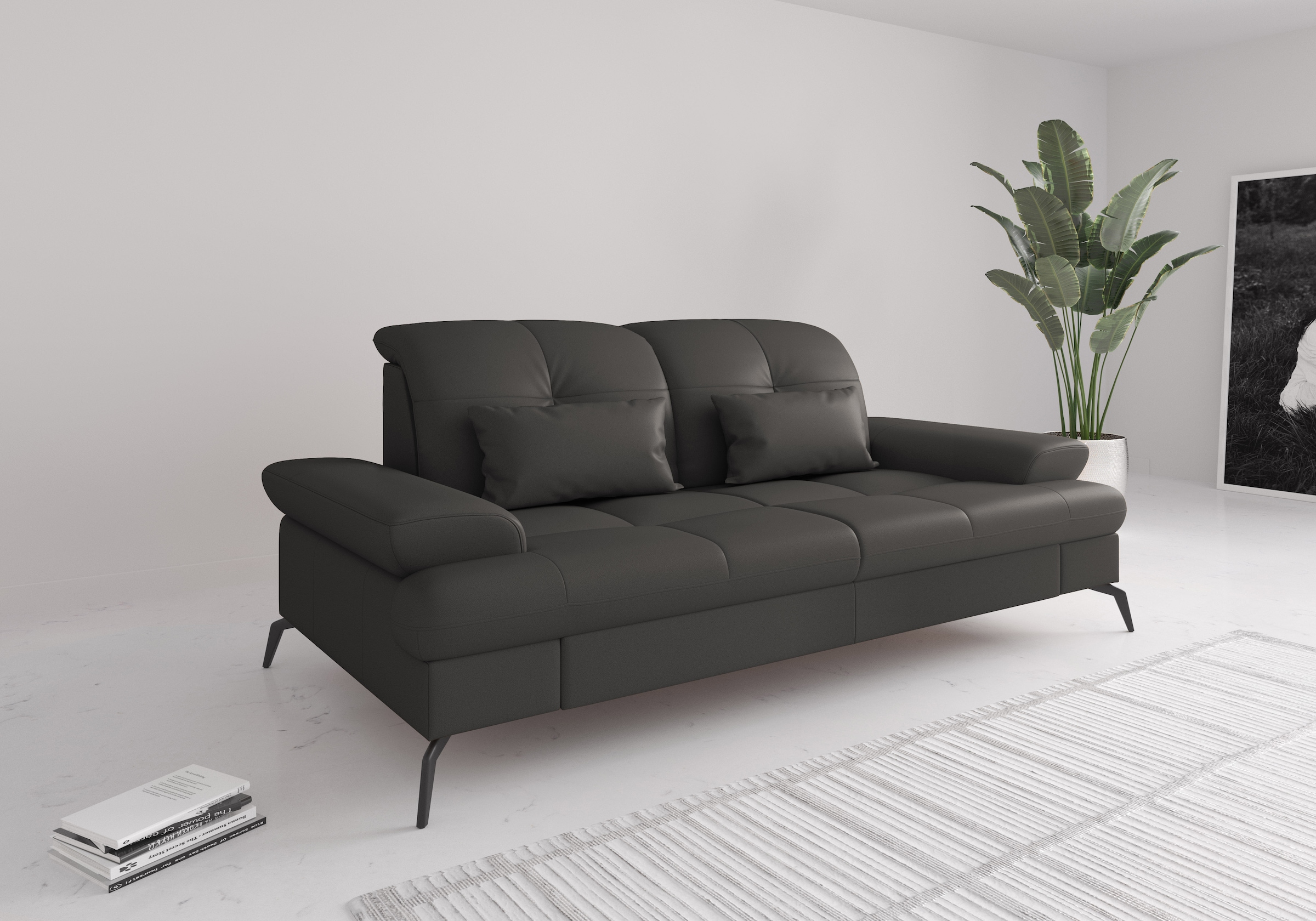 sit&more 2,5-Sitzer »Amica«, inkl Sitztiefenverstellung und Armteilverstell günstig online kaufen