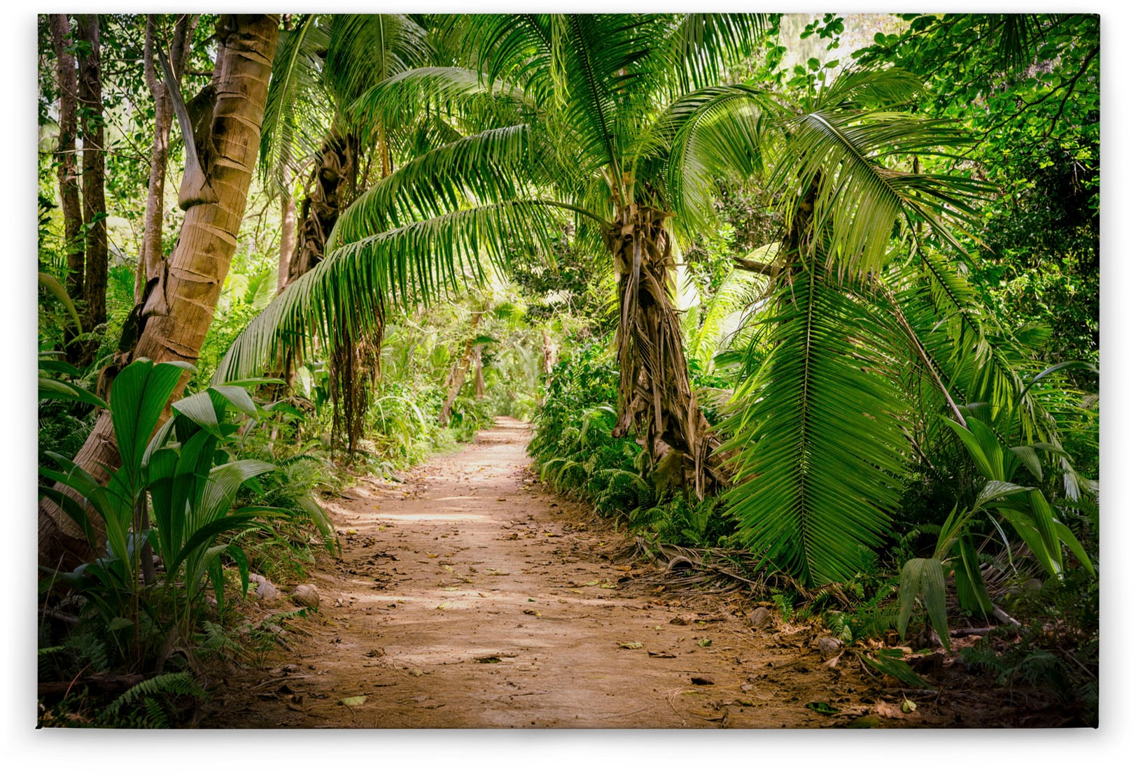 A.S. Création Leinwandbild »Palm Walk«, Kunst-Gemälde-Kinder, (1 St.), Palmen Wald Keilrahmen Natur Leinwand-Bild Wohnzimmer modern Wandbild