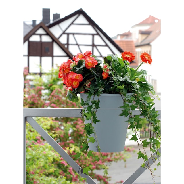 KHW Pflanzkübel »Flowerclip«, (Set, 3 St.), ØxH: 27x27,5 cm online kaufen