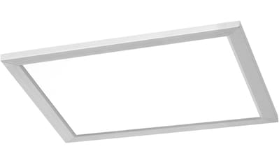 TRIO Leuchten LED Deckenleuchte »GRIFFIN«, LED-Board, 1 St., Farbwechsler, LED... kaufen
