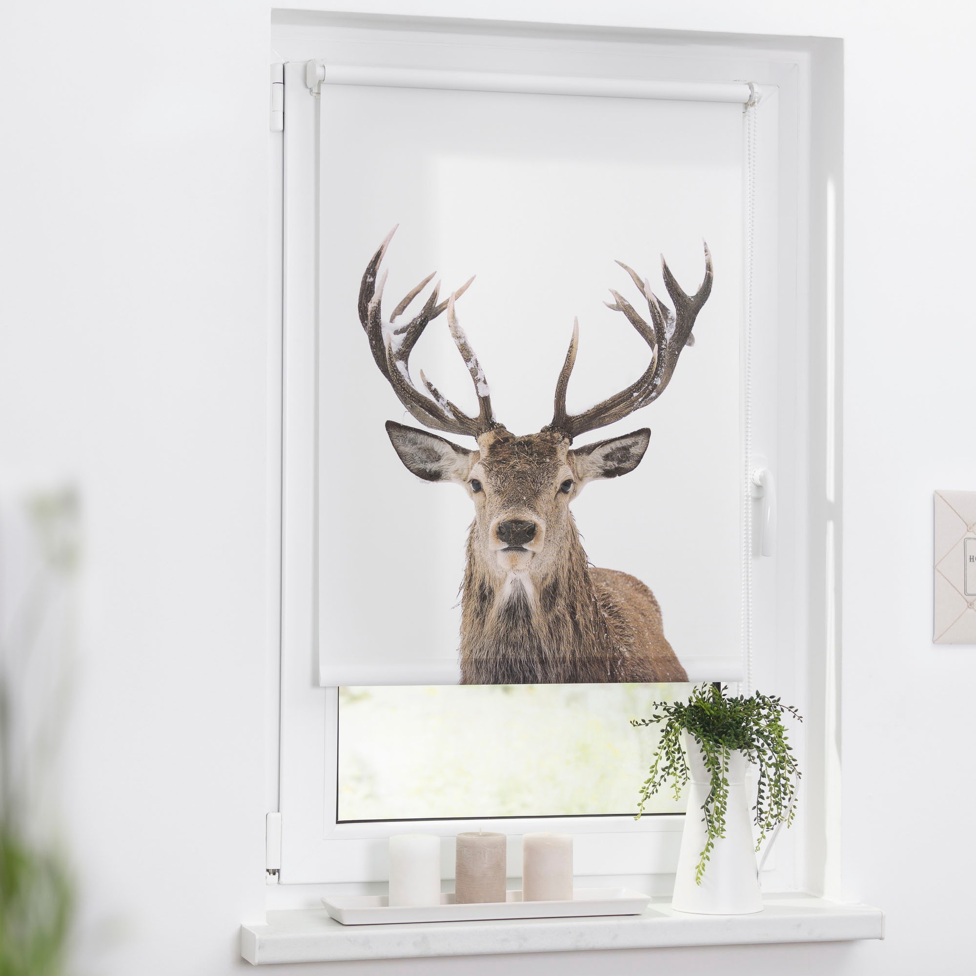 Seitenzugrollo Klemmfix Motiv Hirsch, LICHTBLICK ORIGINAL, Lichtschutz, ohn günstig online kaufen
