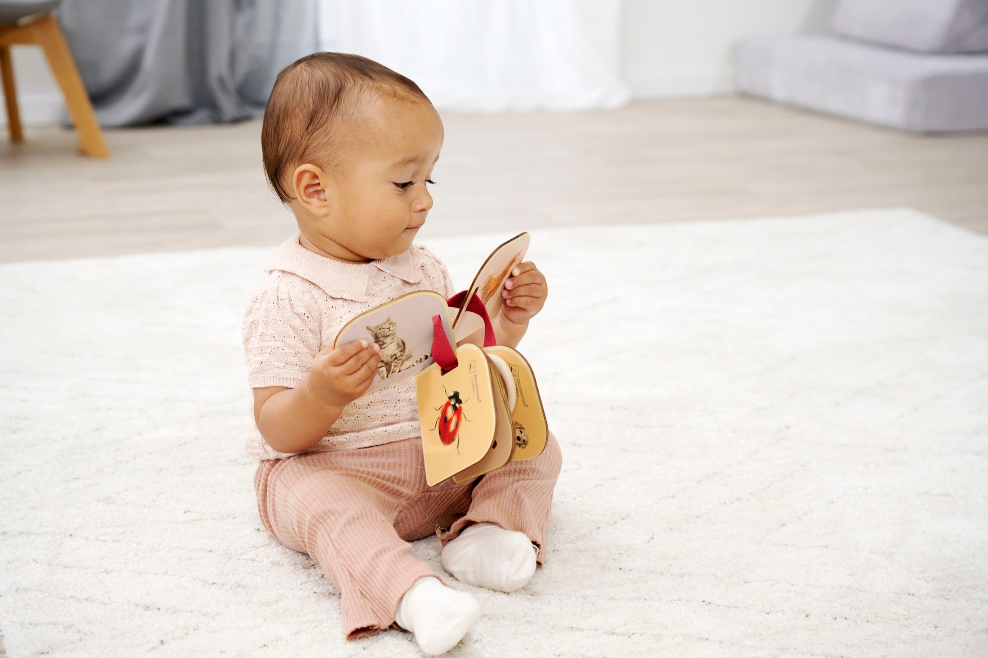 Eichhorn Kinderbuch »Montessori Bilderbuch« FSC® - schützt Wald