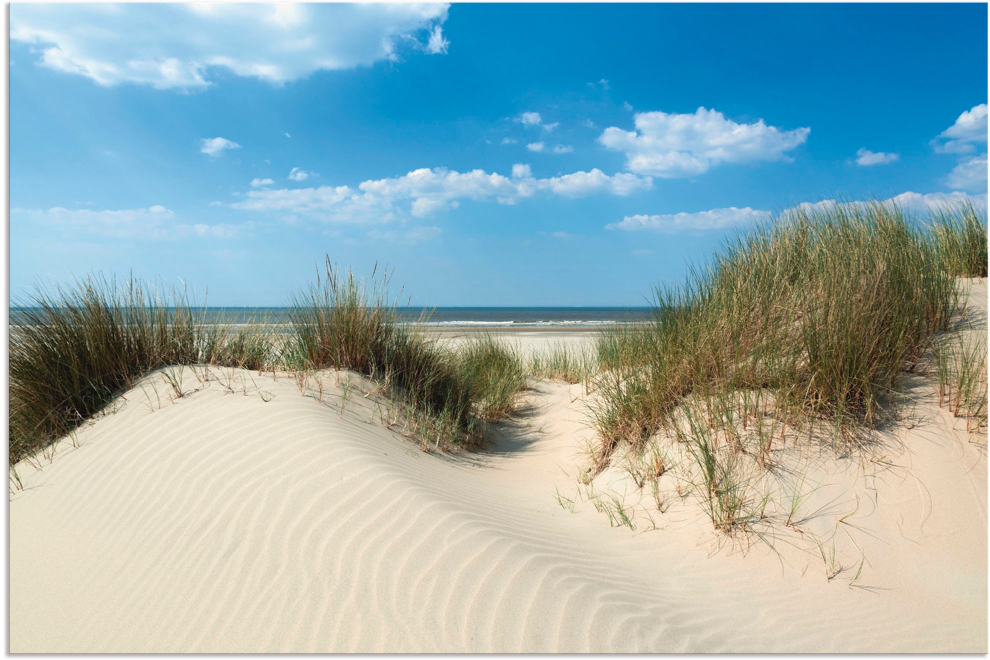 Artland Wandbild »Düne mit Meeresblick«, Strand, (1 St.), als Alubild, Outd günstig online kaufen