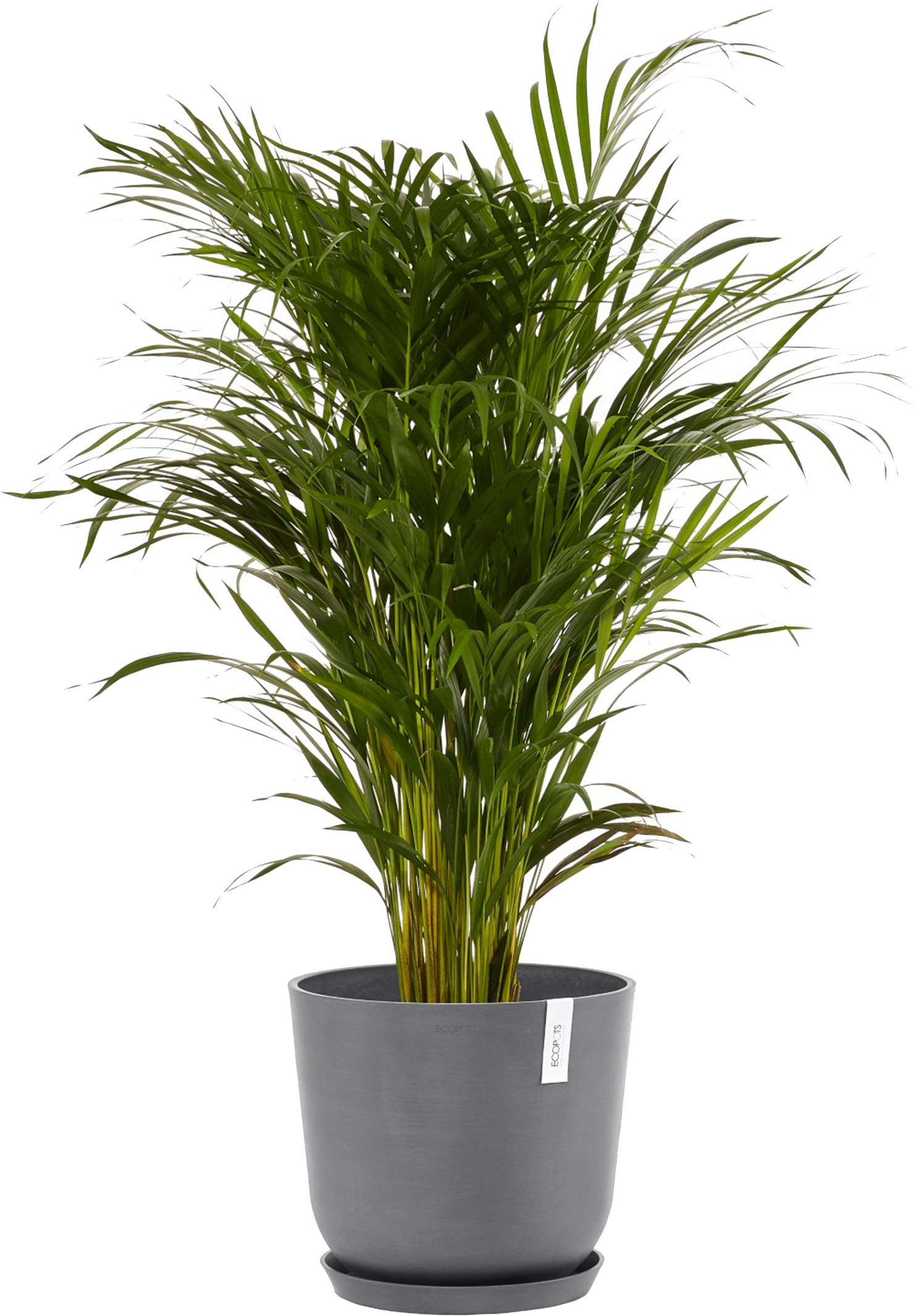 ECOPOTS Blumentopf »Oslo 35 + Wassersystem Grau«, für innen und außen: frostsicher, bruchsicher und lichtbeständig