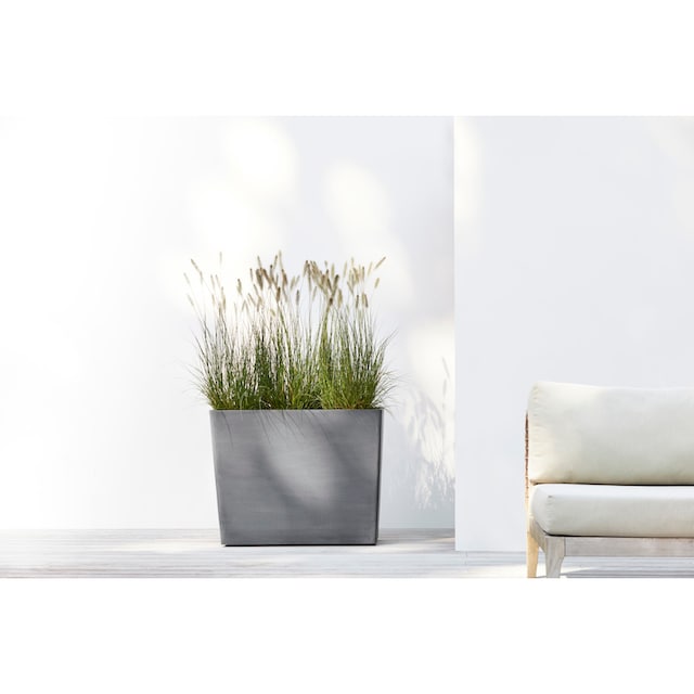 ECOPOTS Blumentopf »PARIS WHEELS Grey«, BxTxH: 85x40x65 cm online kaufen