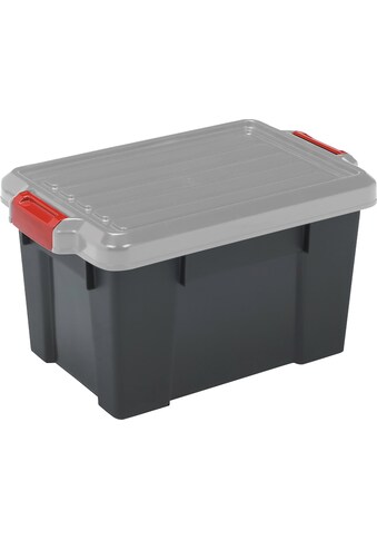 IRIS OHYAMA Aufbewahrungsbox »SK450«, 50 Liter kaufen