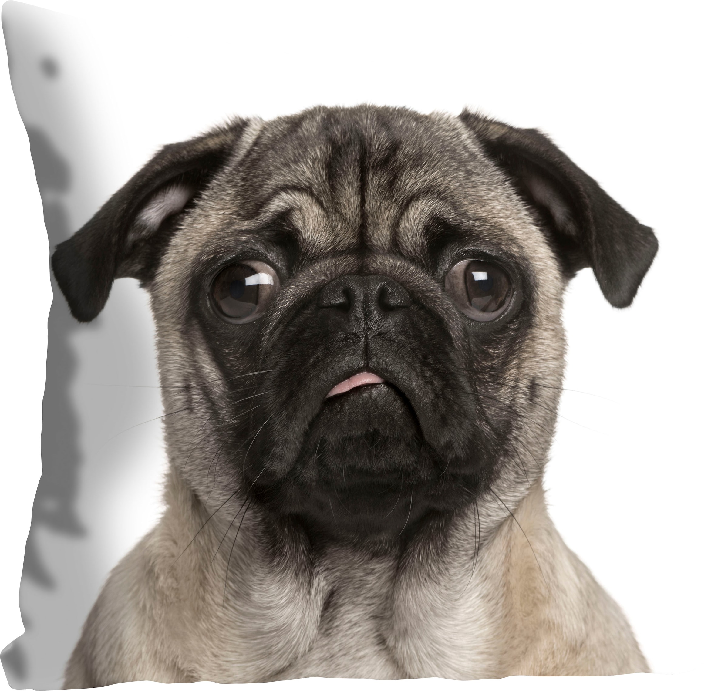 queence Dekokissen "Mops" mit einem Mops günstig online kaufen