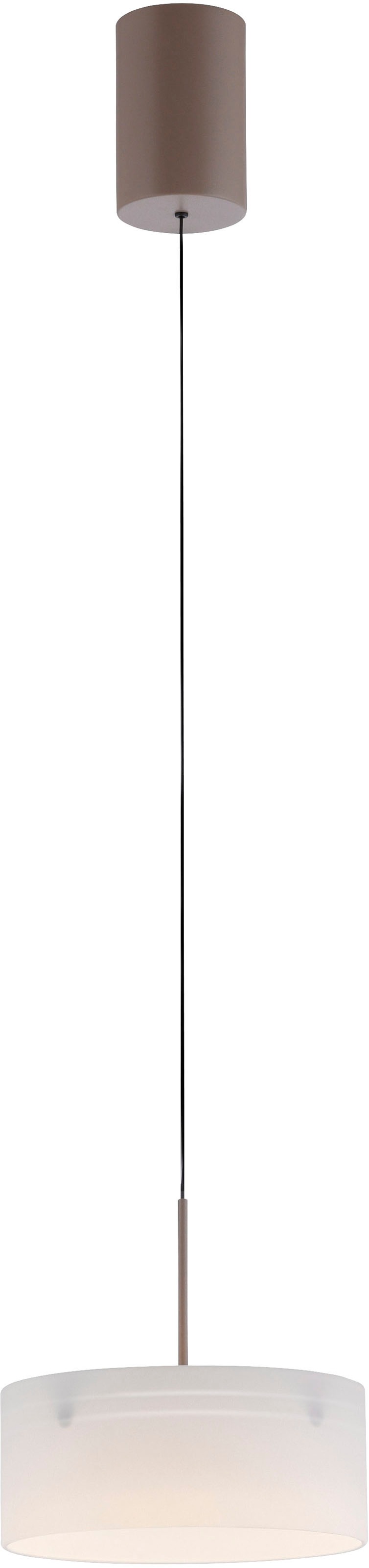 Paul Neuhaus LED Pendelleuchte »MARIKA« LED-Board 1 Stk. Warmweiß Dimmbar ü günstig online kaufen