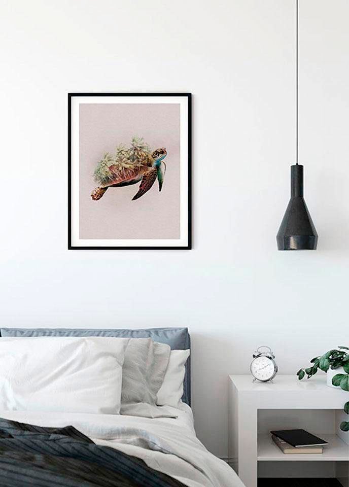 Komar Bild »Animals Paradise Turtle« Tiere 1 Stk. tlg. Wandbild zur Dekoration - ohne Rahmen