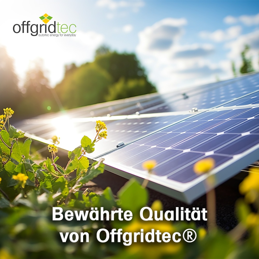 offgridtec Solarmodul »MONO-150 V2 Solarpanel 23V Black Frame«, 2 Bypass Dioden