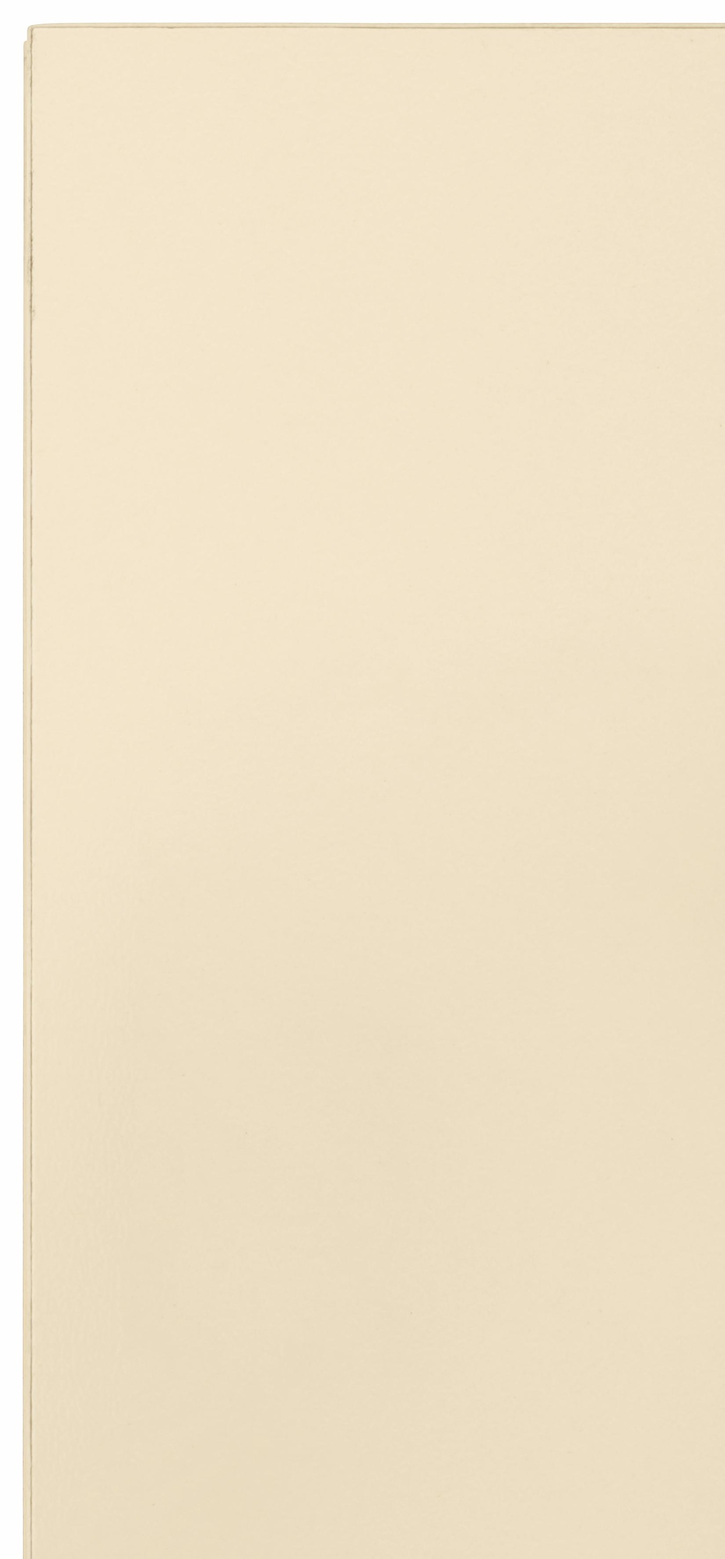 wiho Küchen Hängeschrank »Flexi« Breite 100 cm