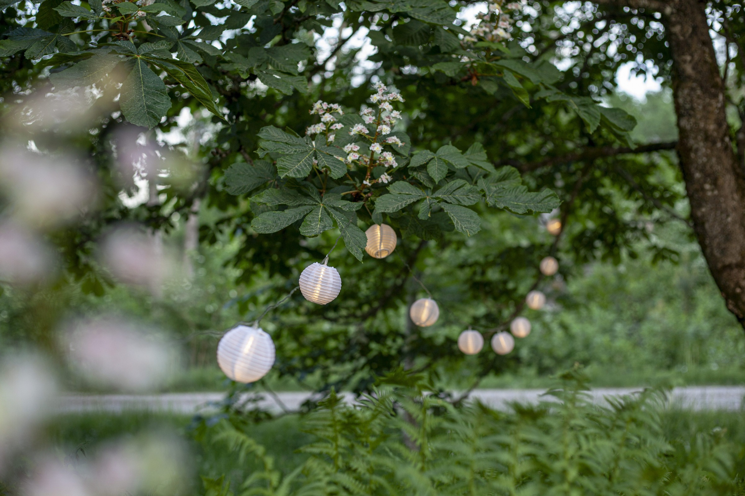 Parforce Traditional Hunting LED-Lichterkette »Festival« 10 Stk.-flammig ca. 4,5 m, outdoor, mit Trafo, 
Sichtkarton
