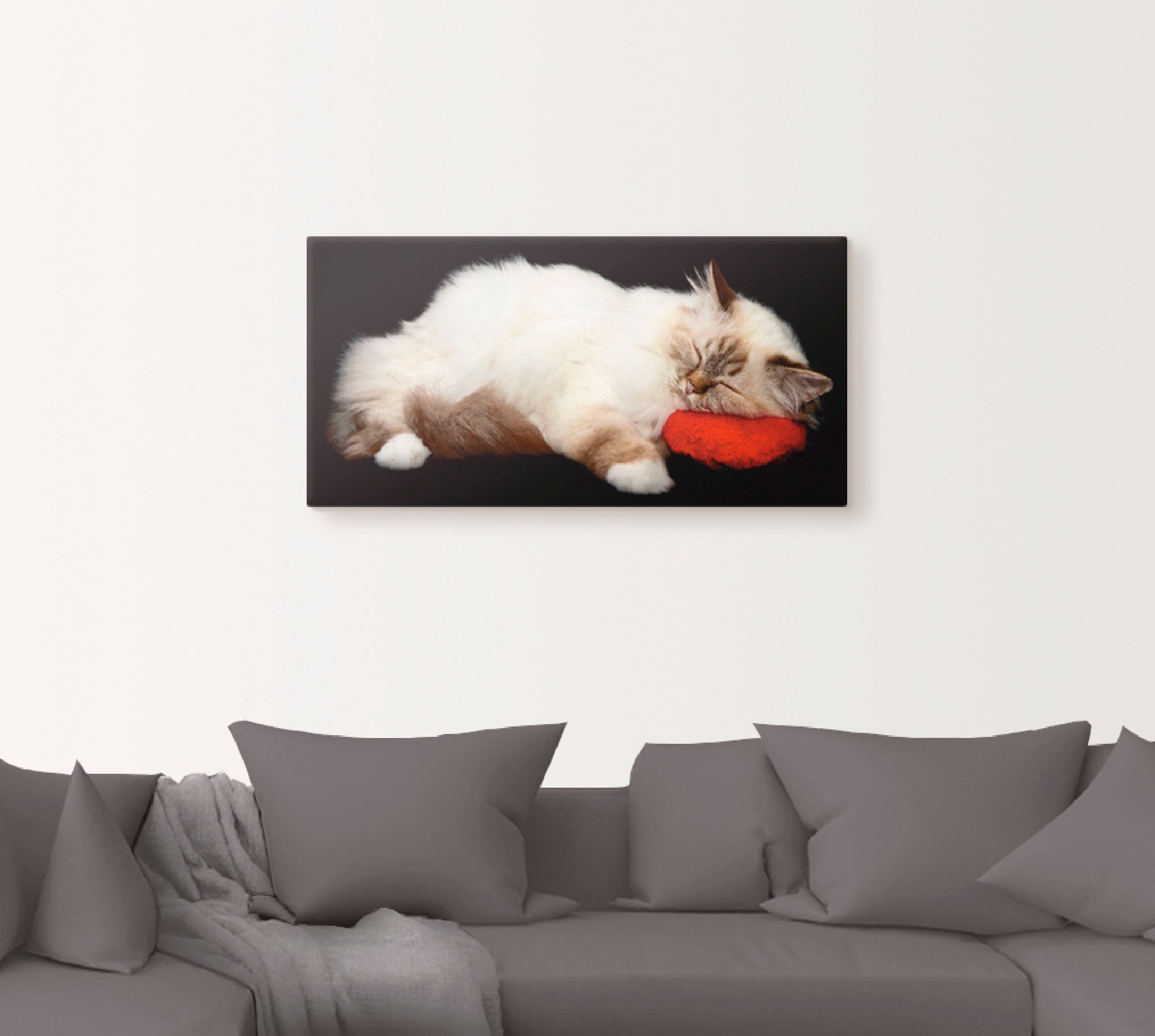 Artland Wandbild »Müde Katze«, Haustiere, (1 St.), als Leinwandbild, Poster, Wandaufkleber in verschied. Größen