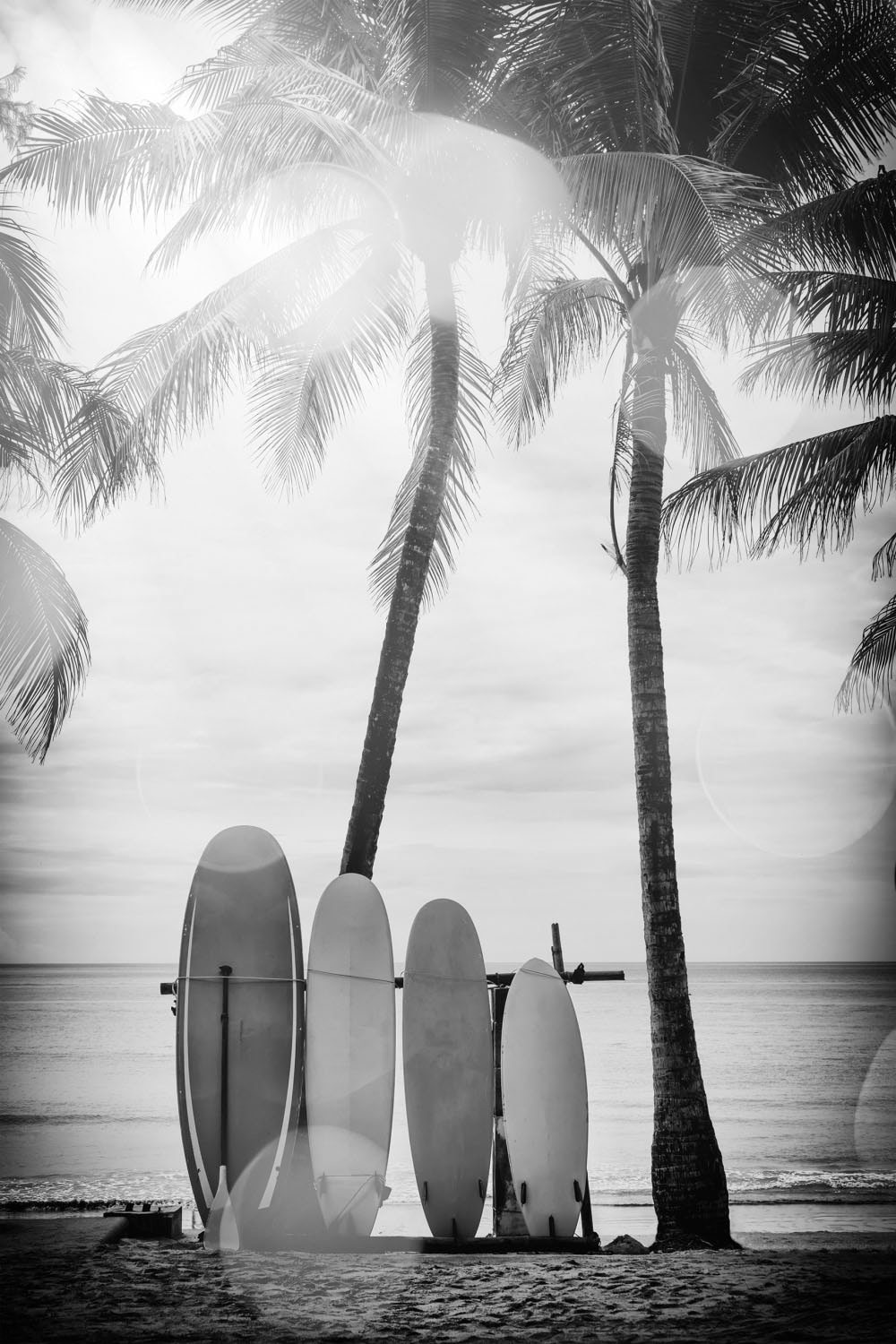 queence Acrylglasbild »Surfboards«, Kunst-Schwarz-Weiß-Strand-Palmen-Strand günstig online kaufen