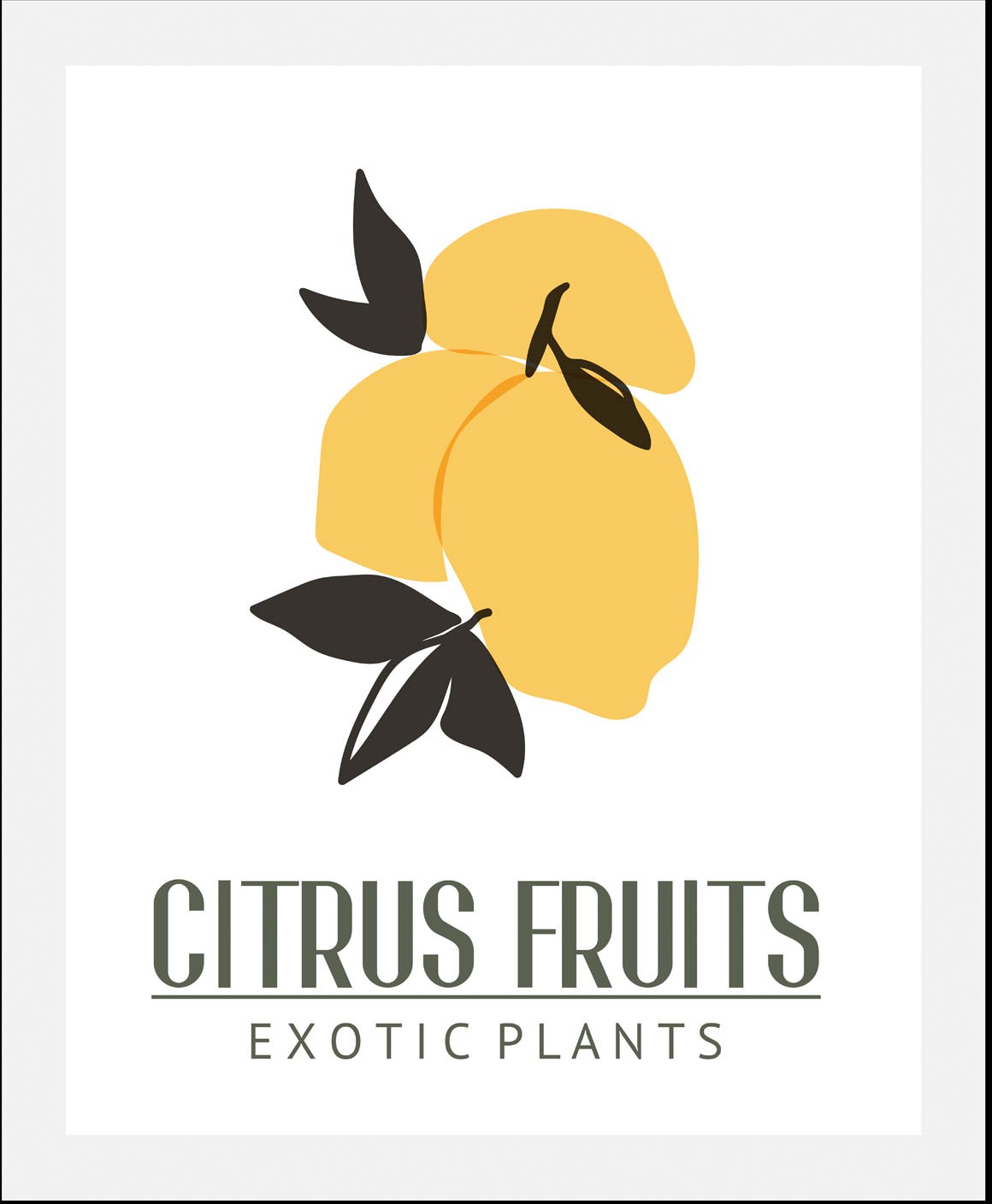 queence Bild »Citrus Fruits«, Obst-Obst Bilder-Essen-Lebensmittel-Kunst-Sch günstig online kaufen