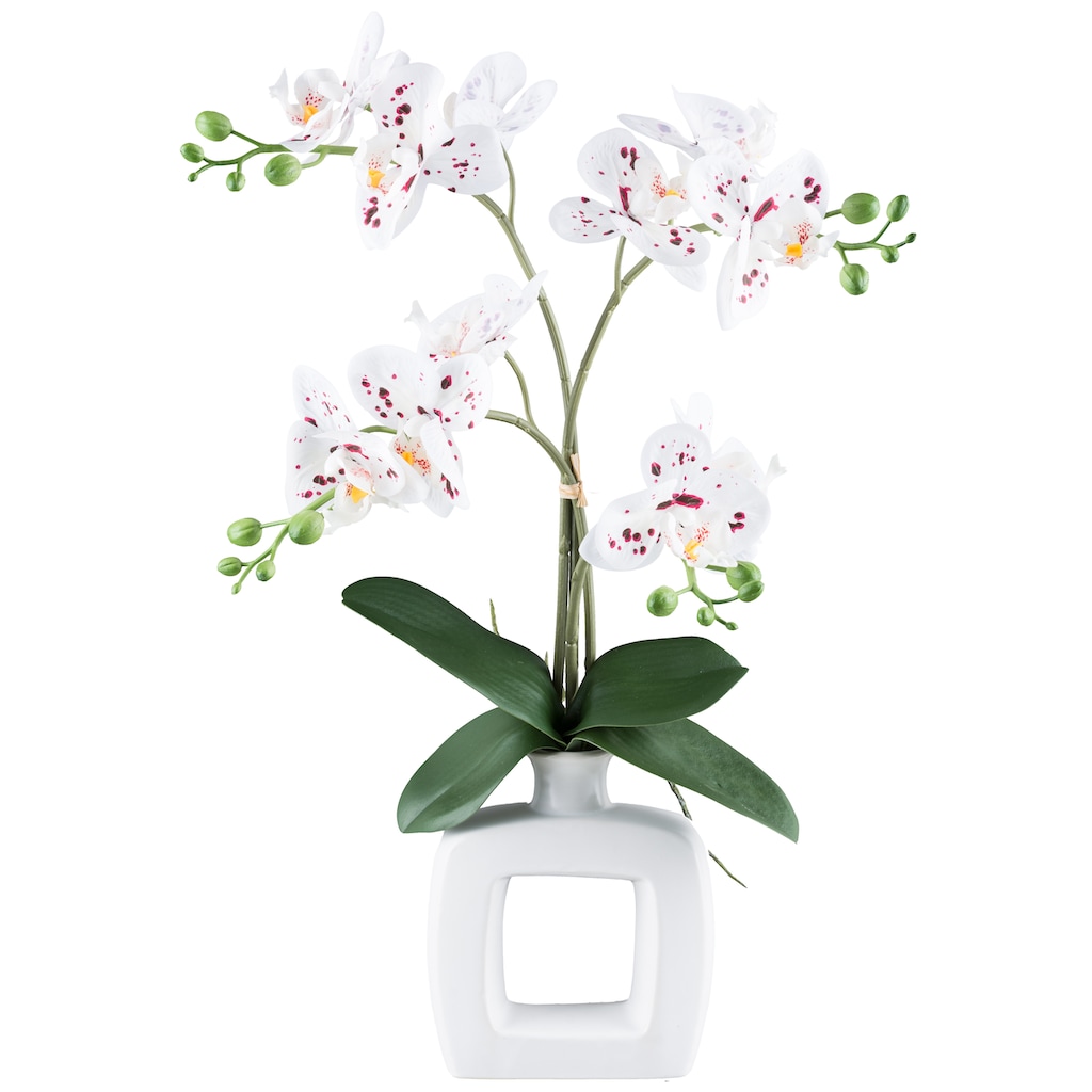 my home Kunstorchidee »Orchidee Phalaenopsis«