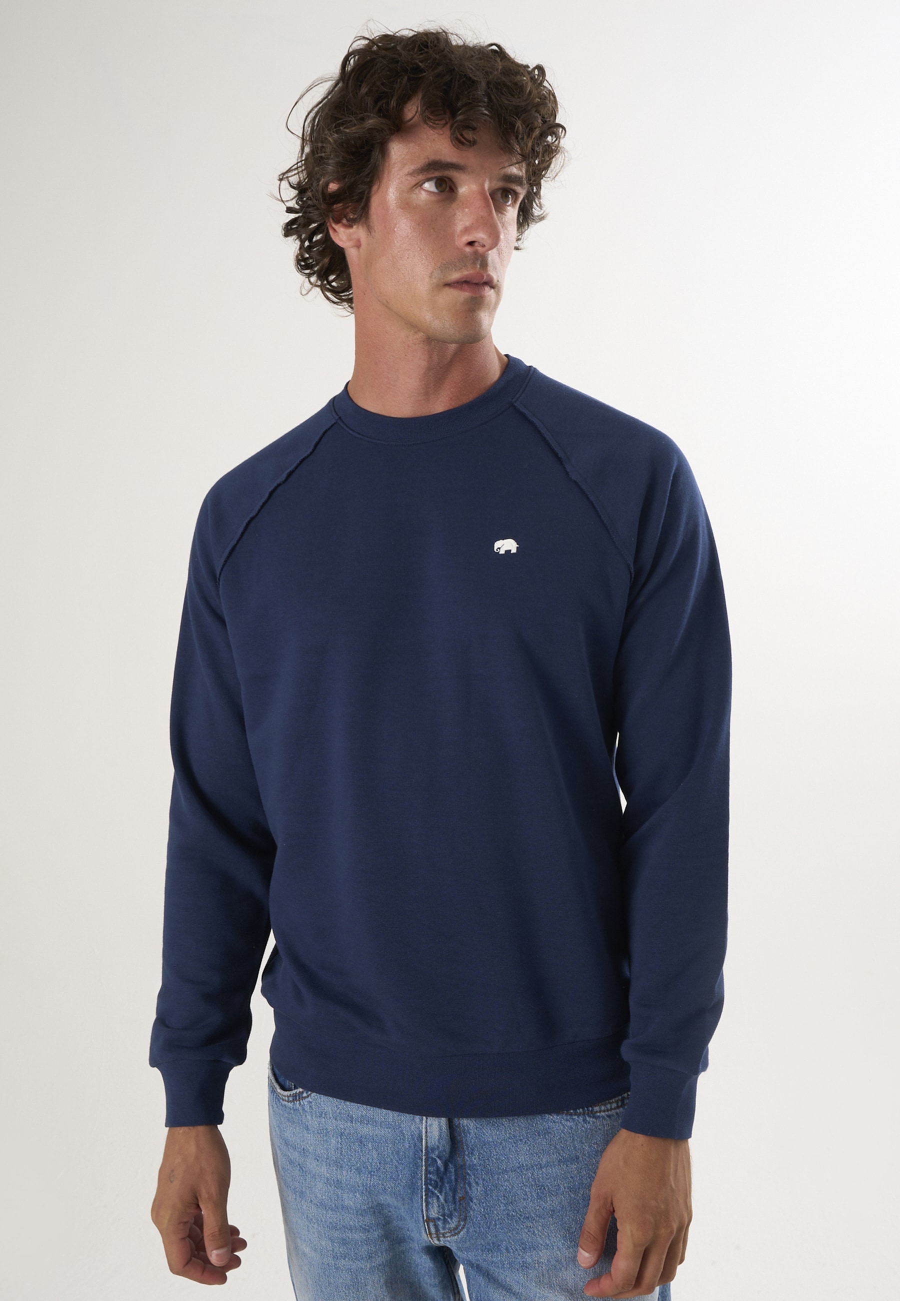 Felix Hardy Sweater »Basic Rundhals Sweatshirt«
