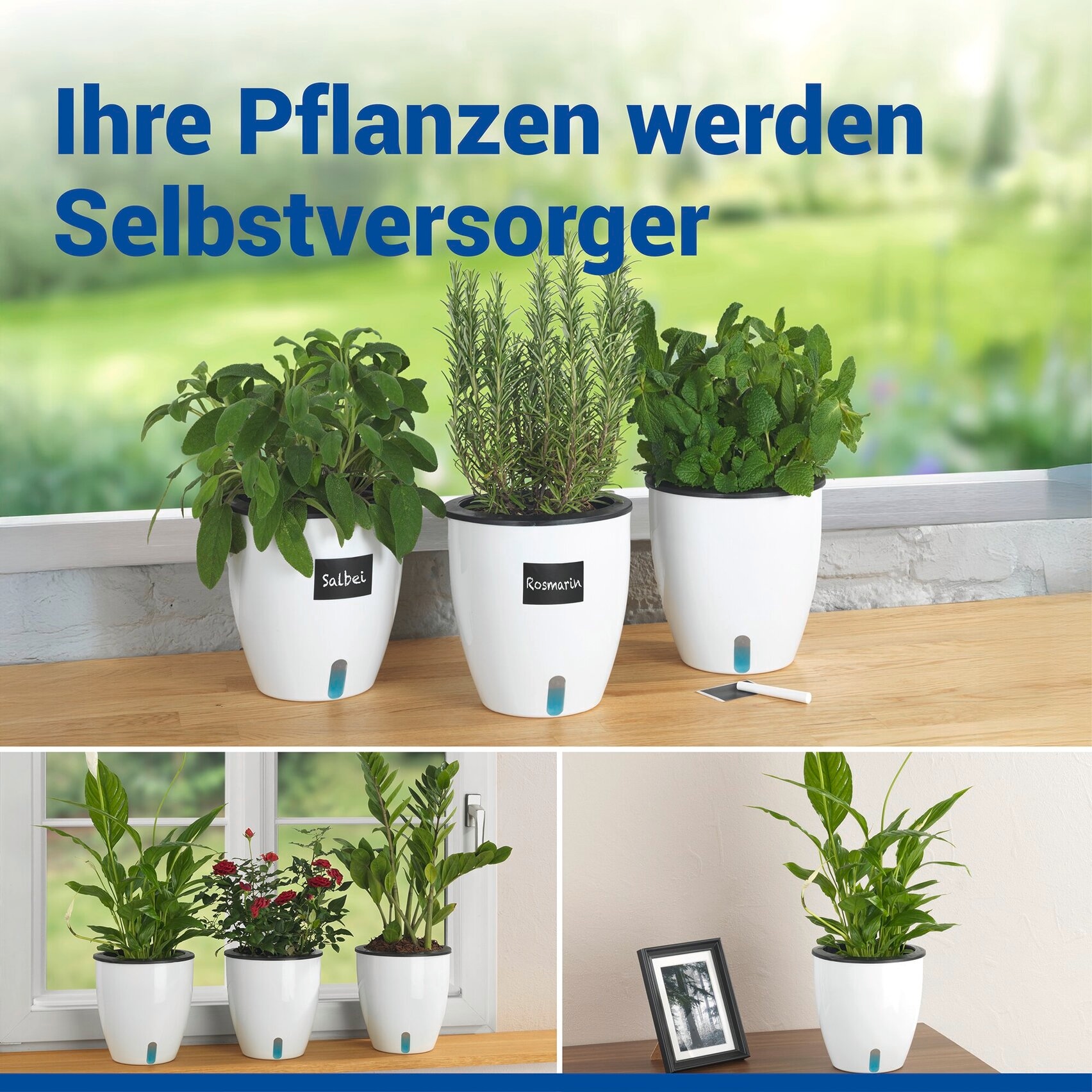 Maximex Pflanzschale »Selbstbewässernde Pflanztöpfe« 18x19 cm, mit Wasserstandsanzeige