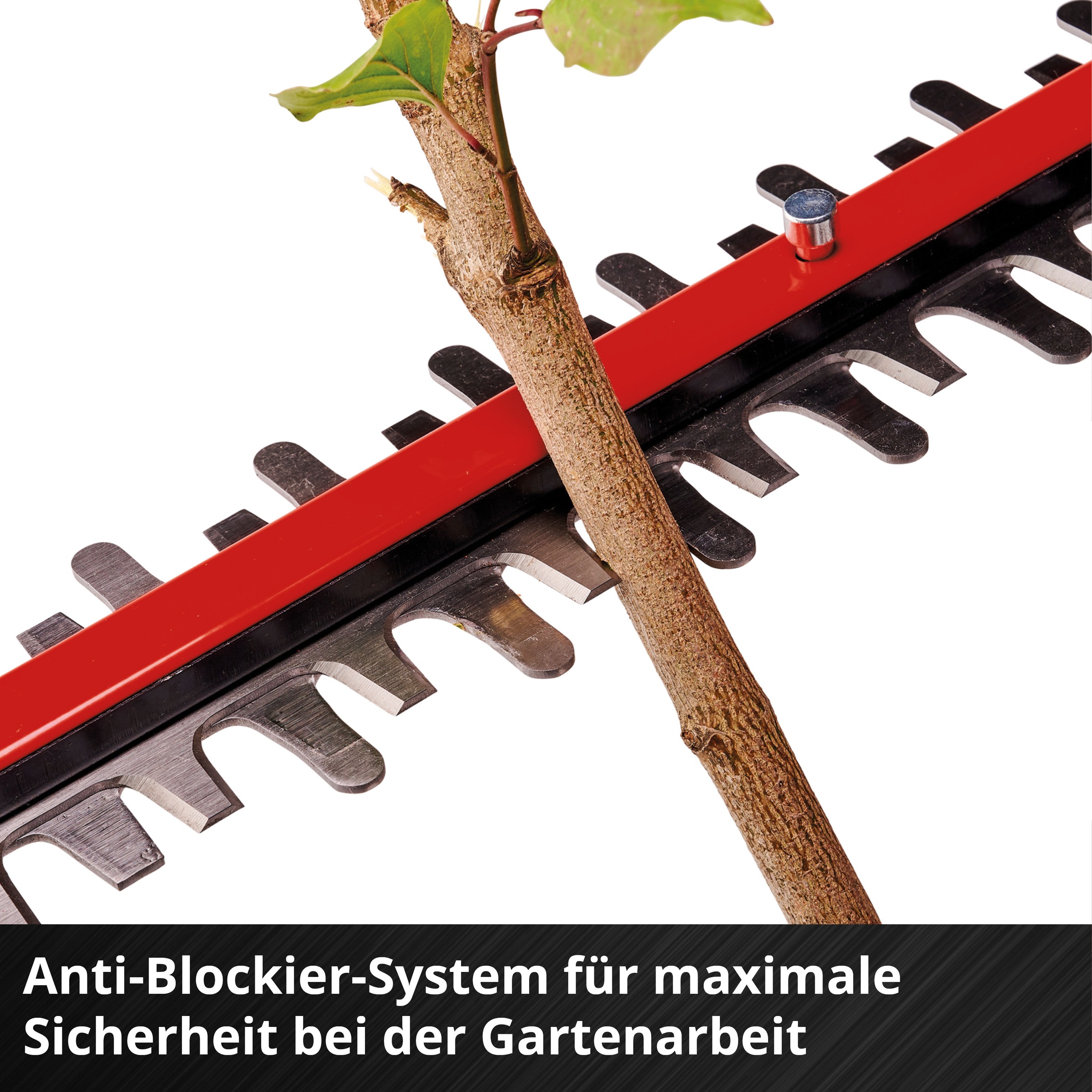 Einhell Akku-Heckenschere »GP-CH 18/50 Li BL-Solo« ()  ohne Akku, ohne Ladegerät